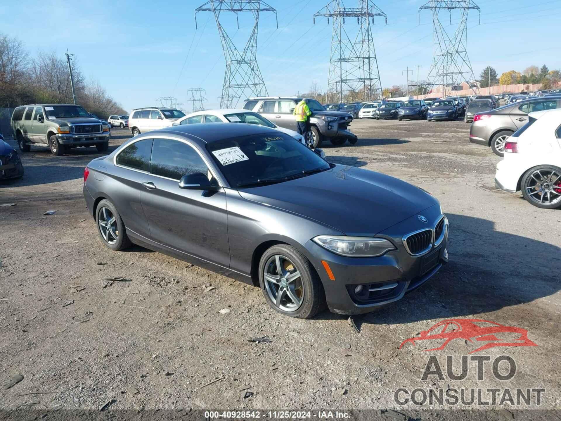 BMW 228I 2015 - WBA1G9C5XFVX96793