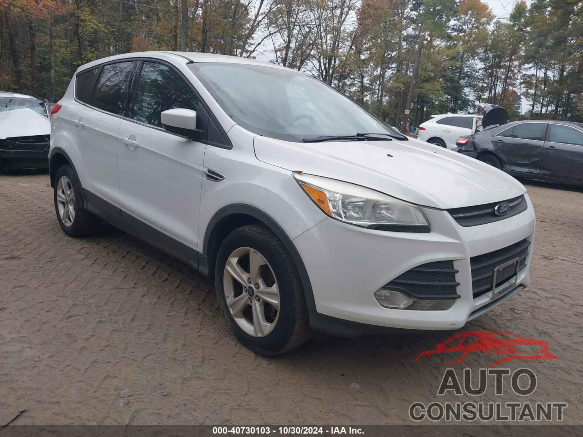 FORD ESCAPE 2013 - 1FMCU0GXXDUA80261