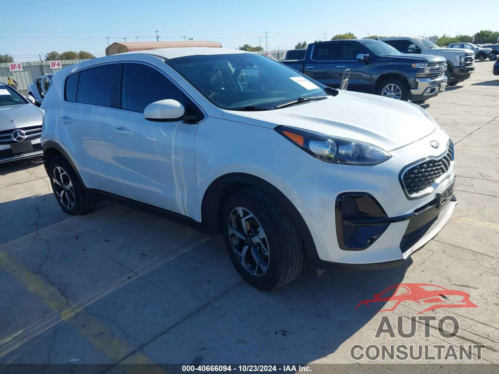 KIA SPORTAGE 2022 - KNDPM3ACXN7017478