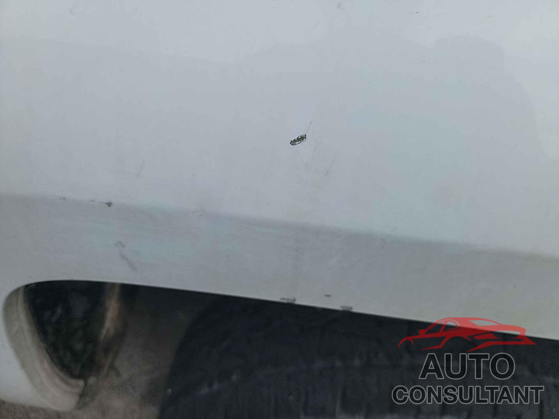 CHEVROLET SILVERADO 2500HD 2019 - 1GC1CREG5KF177326