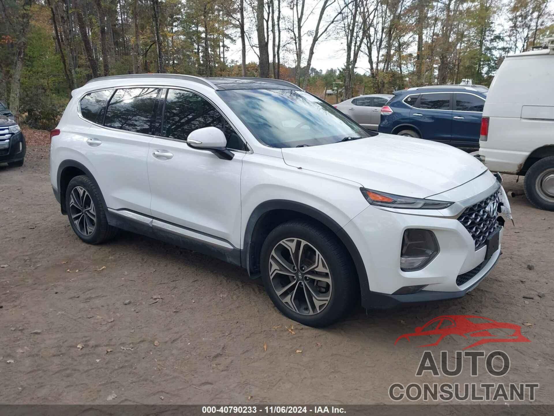 HYUNDAI SANTA FE 2019 - 5NMS53AA1KH102445