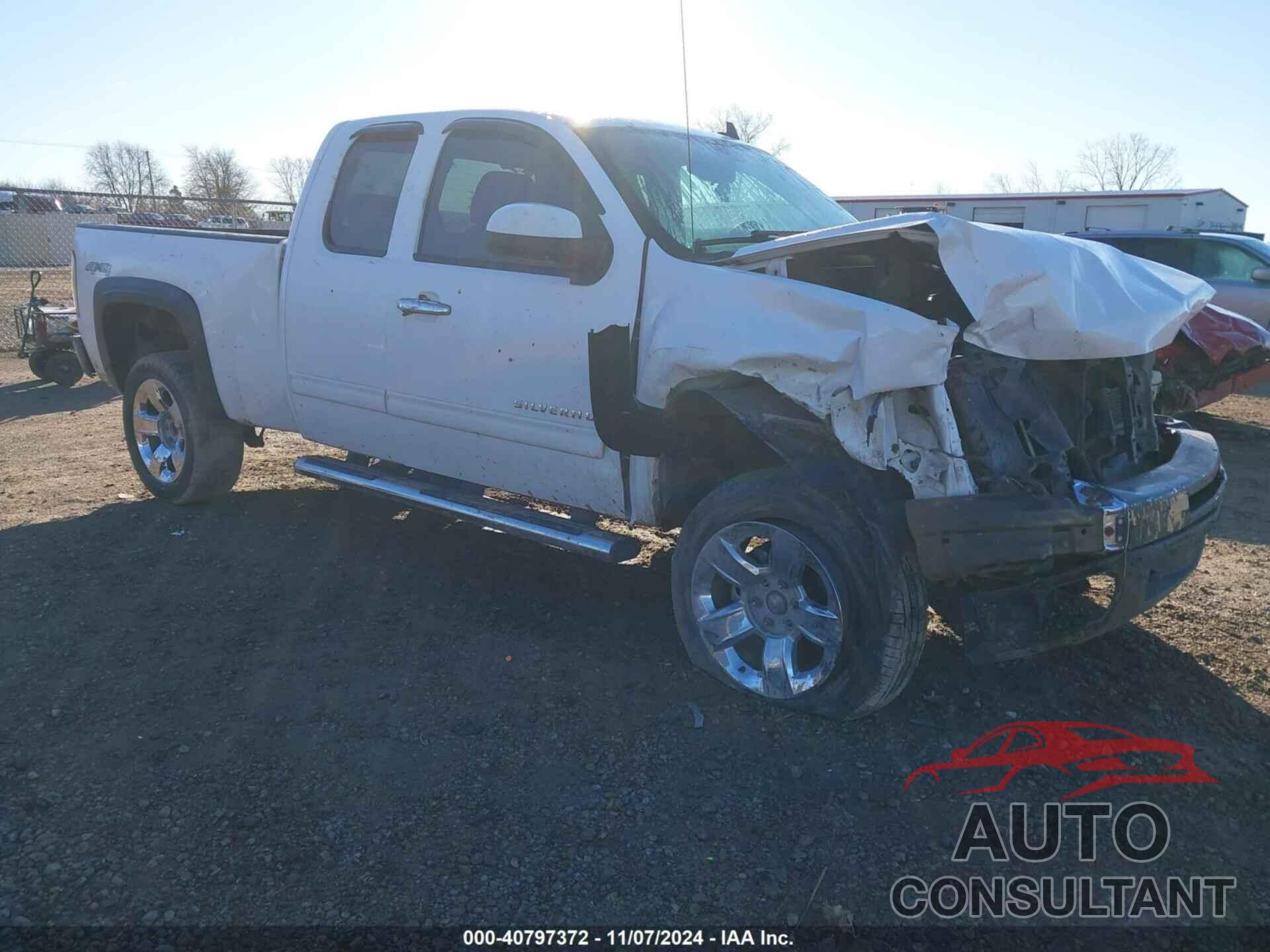 CHEVROLET SILVERADO 1500 2010 - 1GCSKSE33AZ246958