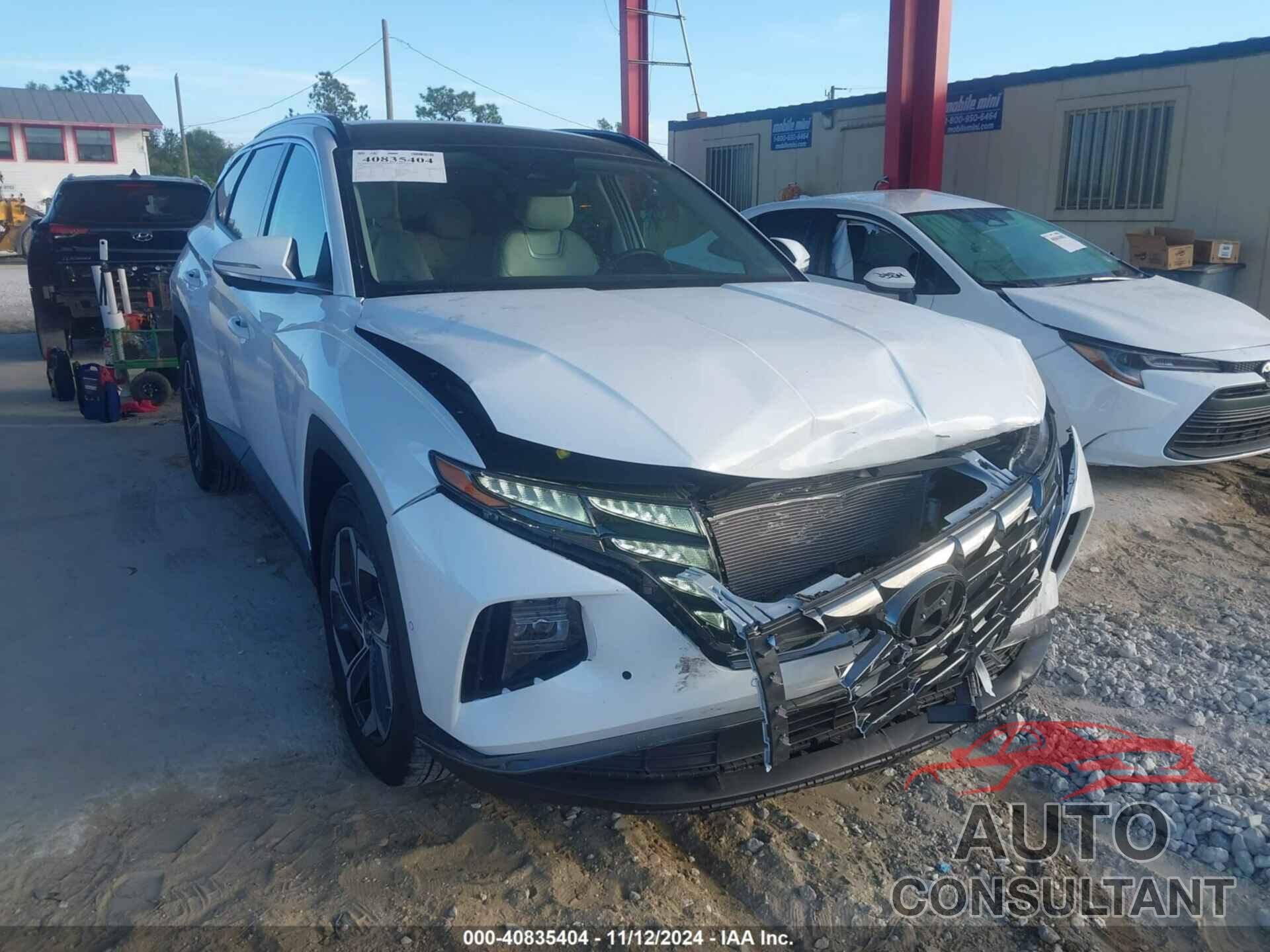 HYUNDAI TUCSON 2024 - 5NMJE3DE1RH334578