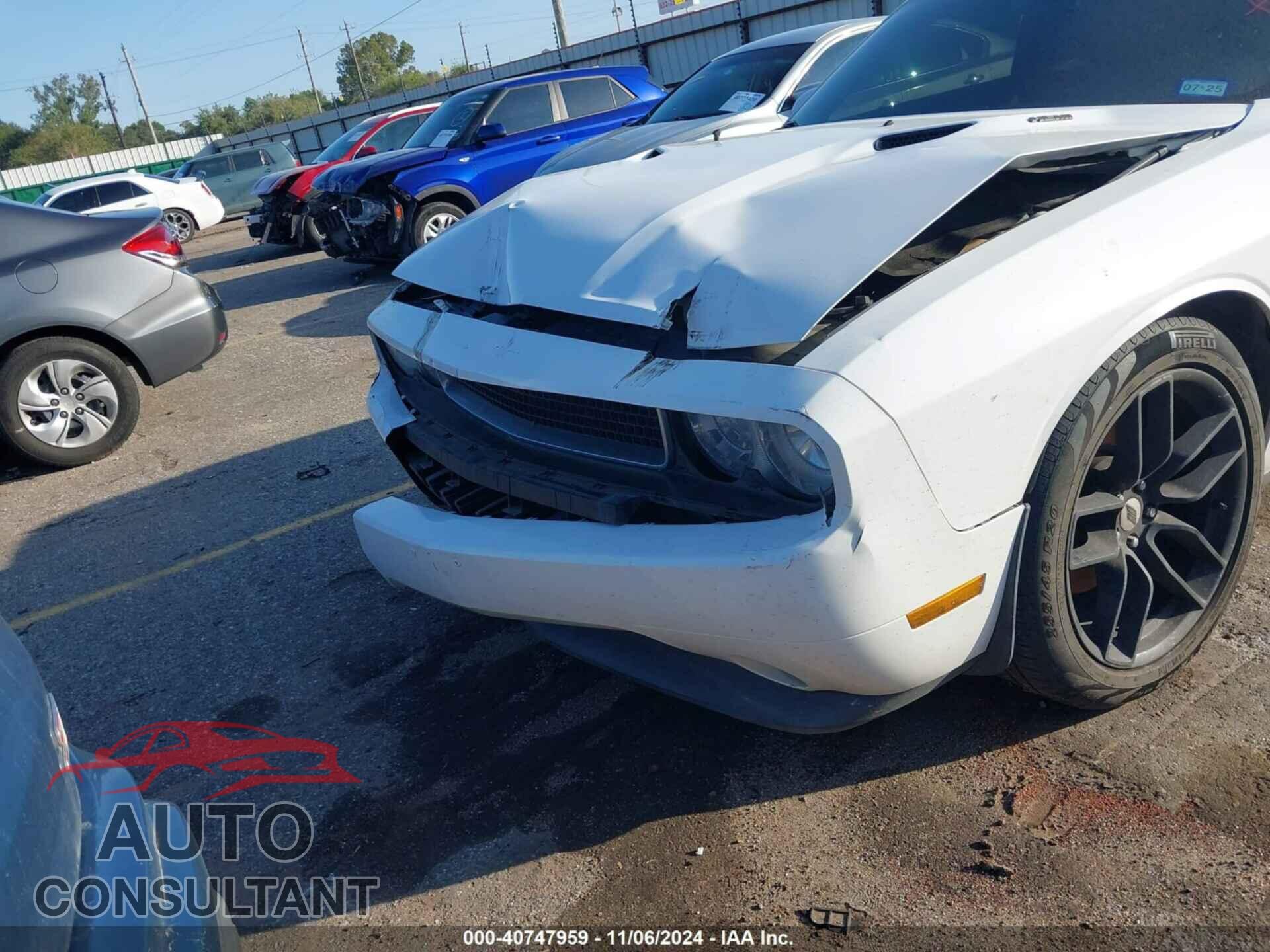 DODGE CHALLENGER 2013 - 2C3CDYBT8DH540743