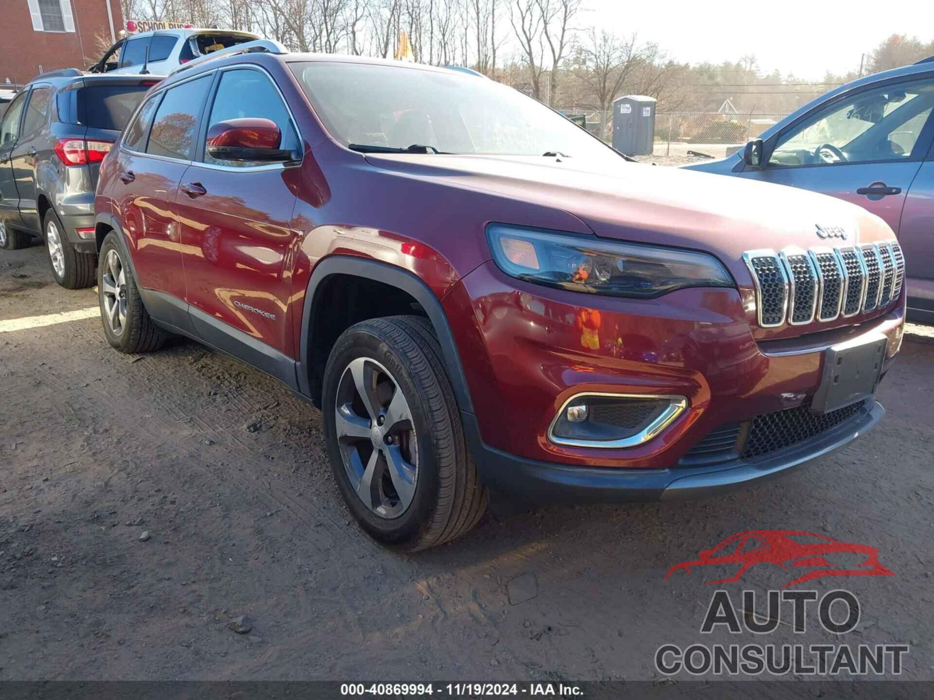 JEEP CHEROKEE 2019 - 1C4PJMDX9KD462255