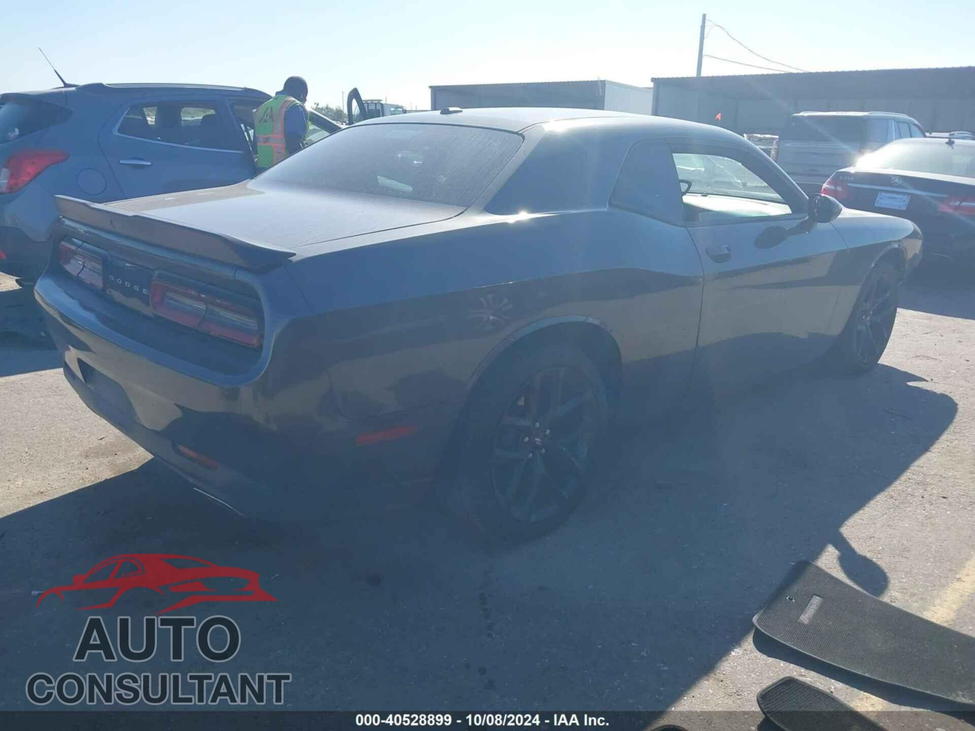 DODGE CHALLENGER 2019 - 2C3CDZAG3KH503395