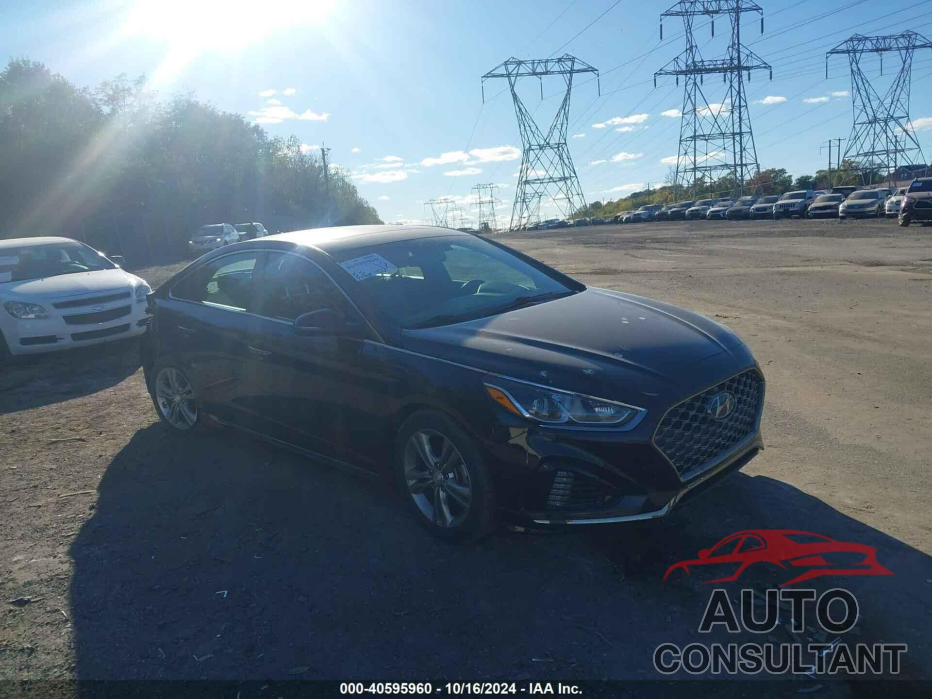 HYUNDAI SONATA 2019 - 5NPE34AF5KH742651