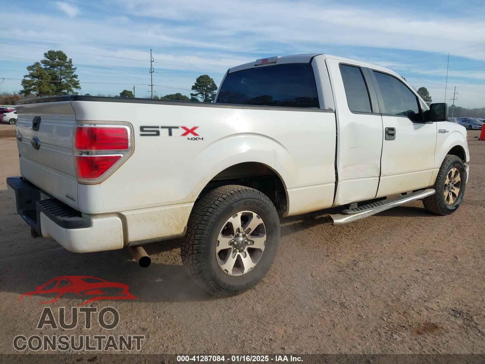 FORD F-150 2013 - 1FTFX1EF8DFD82113
