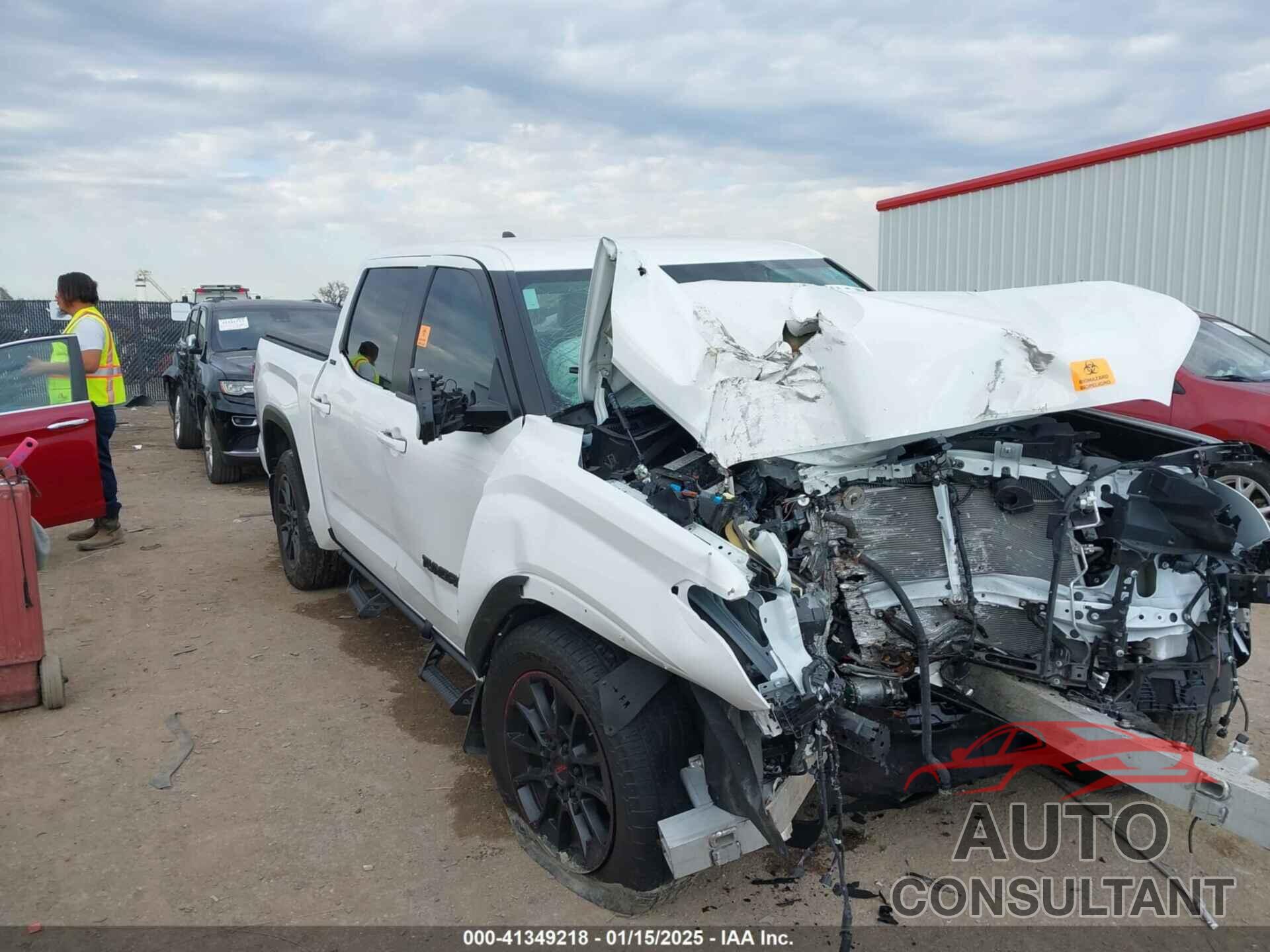 TOYOTA TUNDRA 2024 - 5TFLA5DB6RX193066