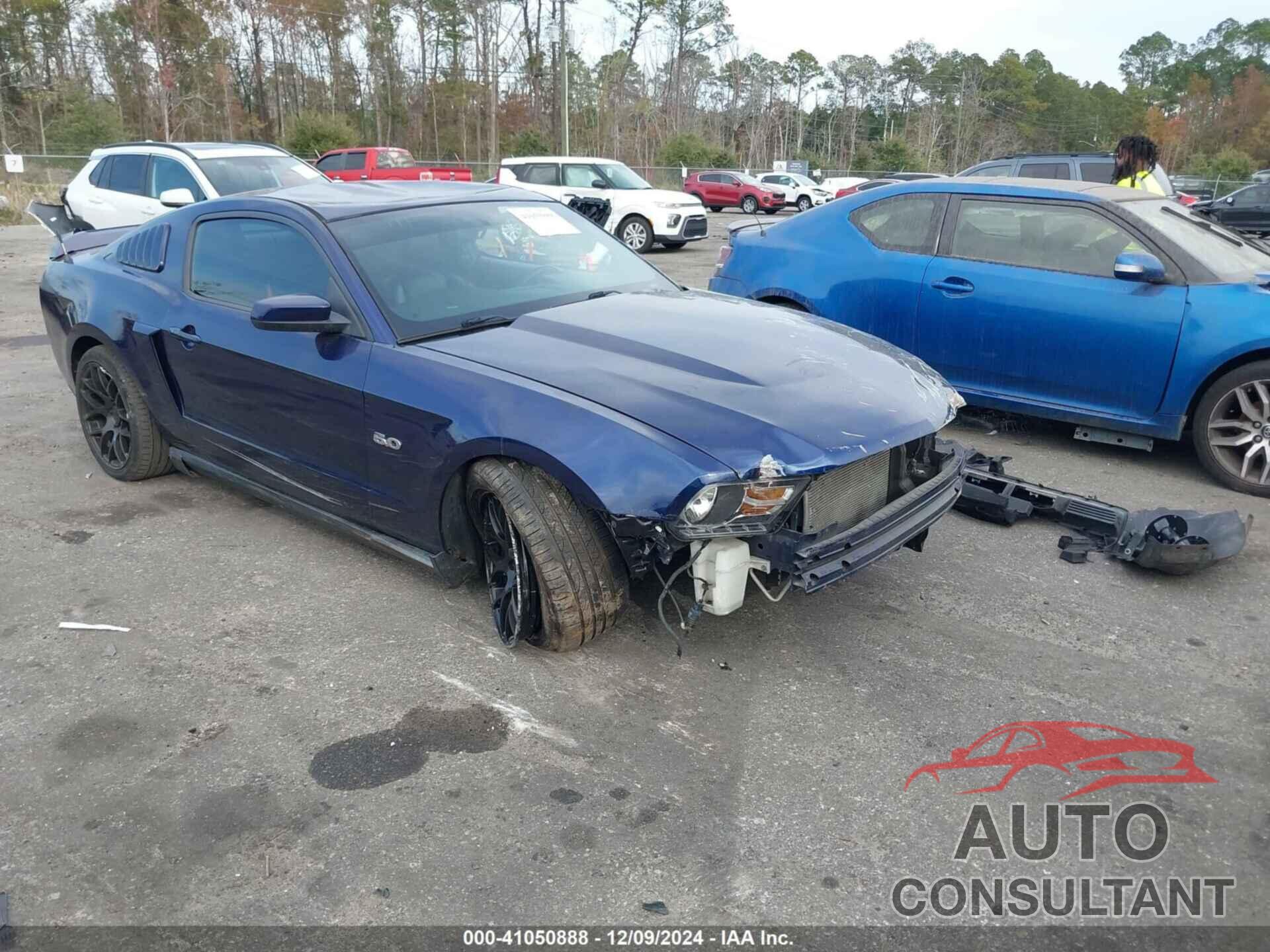 FORD MUSTANG 2011 - 1ZVBP8CF3B5156989