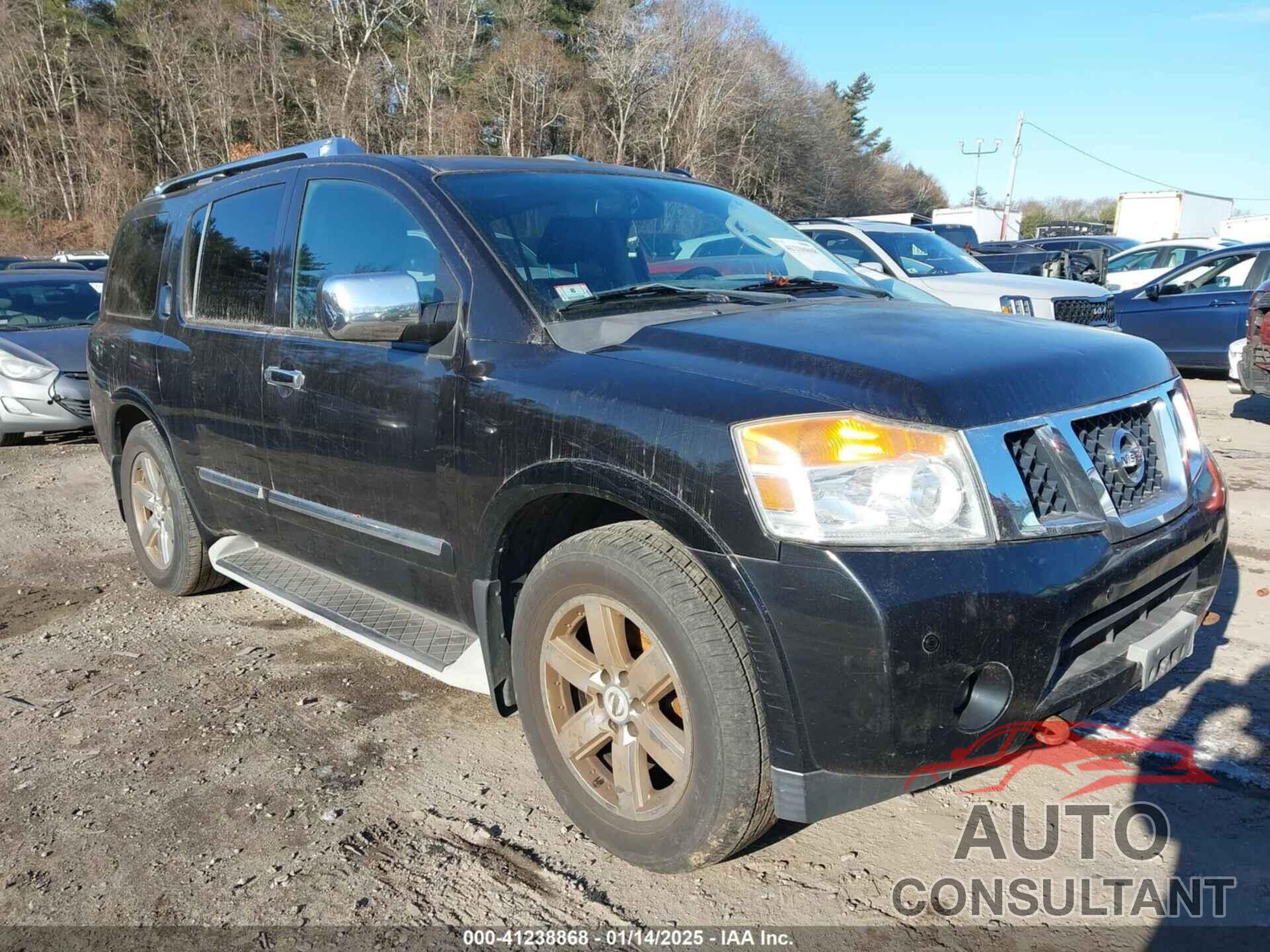 NISSAN ARMADA 2010 - 5N1AA0NC7AN619618
