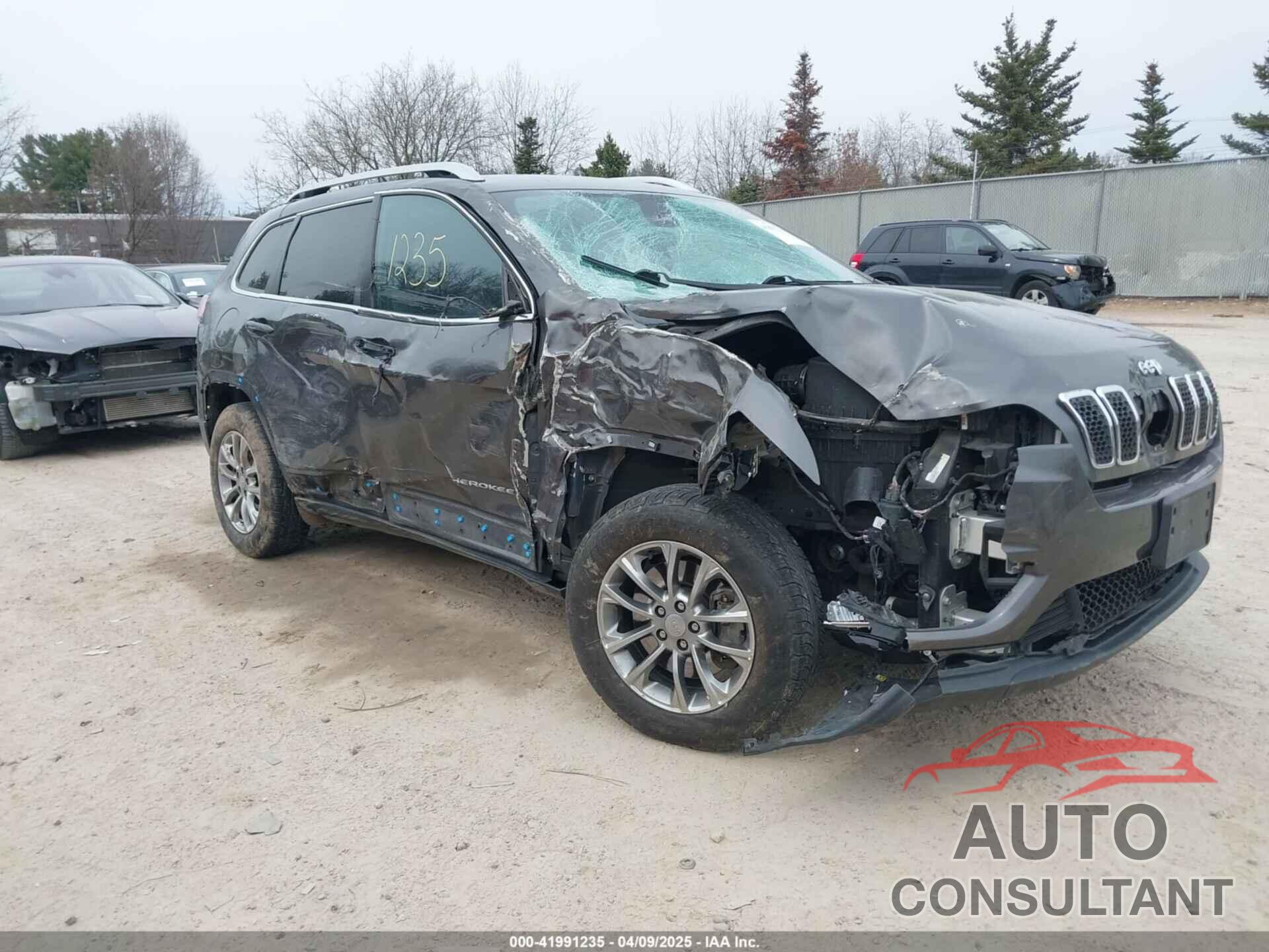 JEEP CHEROKEE 2019 - 1C4PJMLX8KD255227