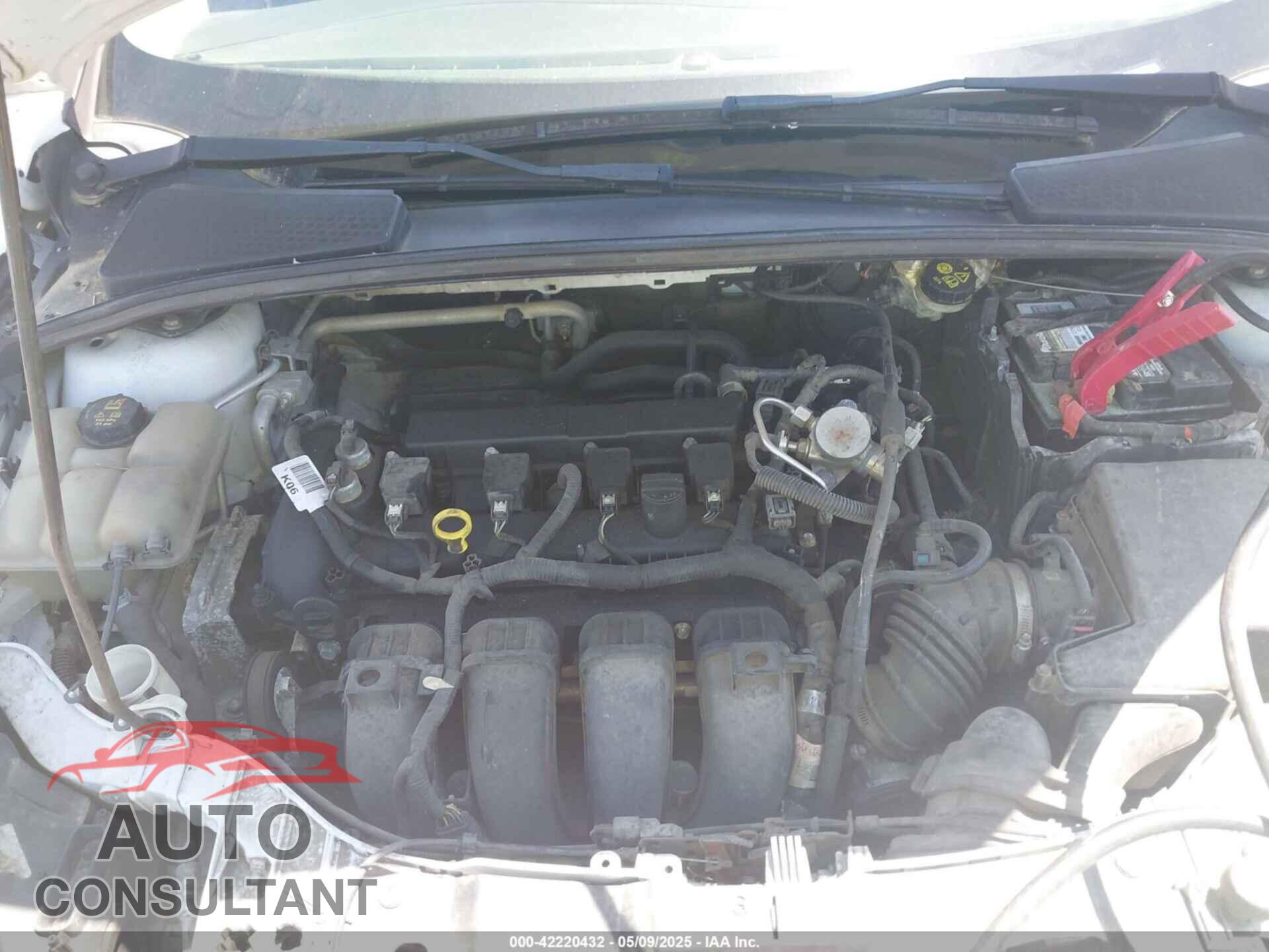 FORD FOCUS 2016 - 1FADP3F25GL354506