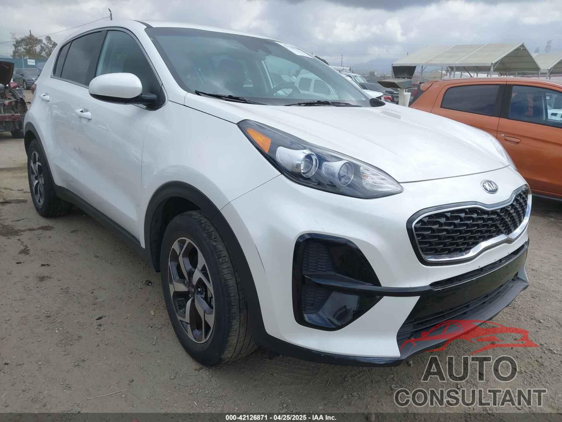 KIA SPORTAGE 2021 - KNDPM3AC1M7893161