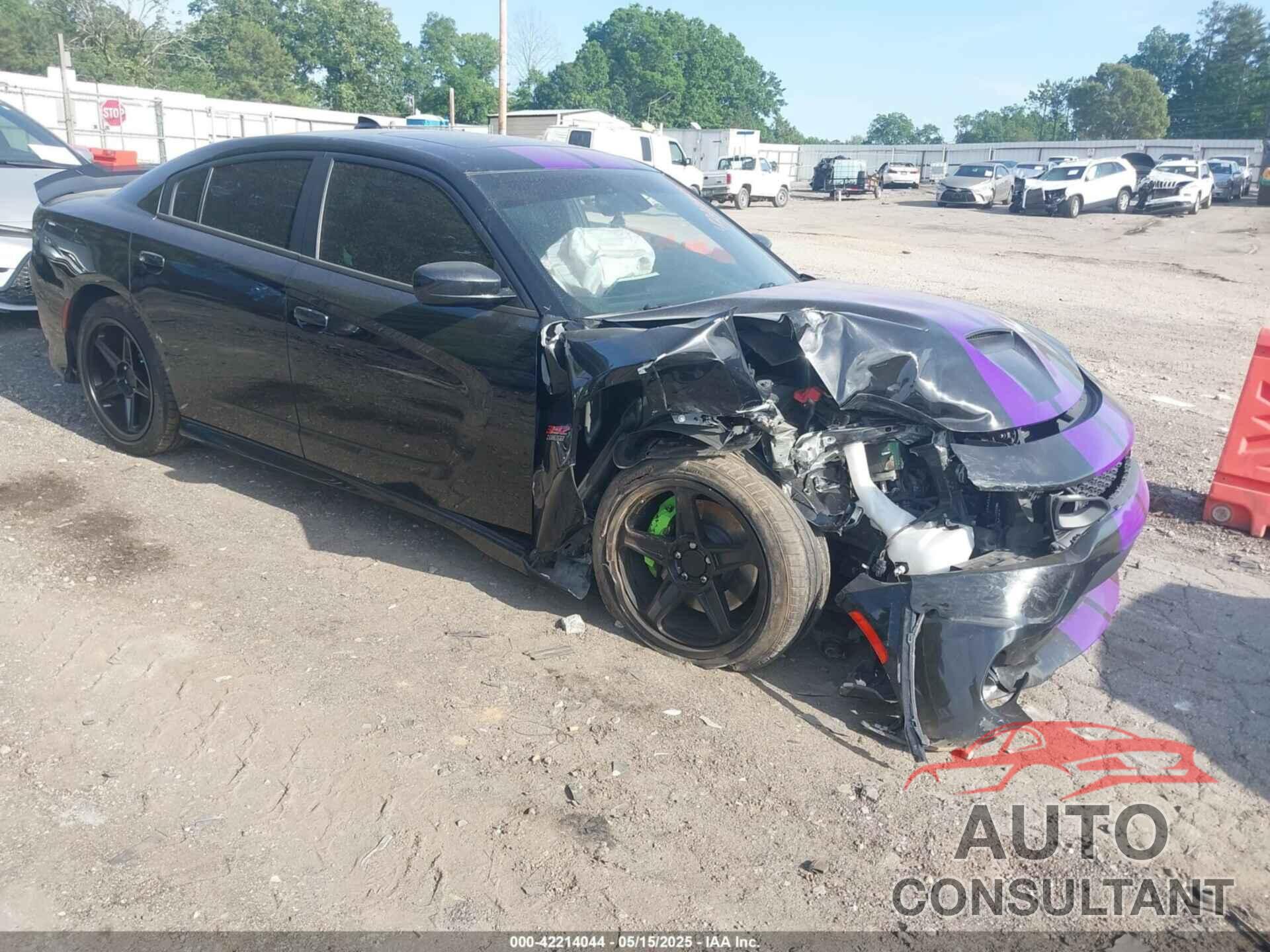 DODGE CHARGER 2021 - 2C3CDXGJ3MH562134