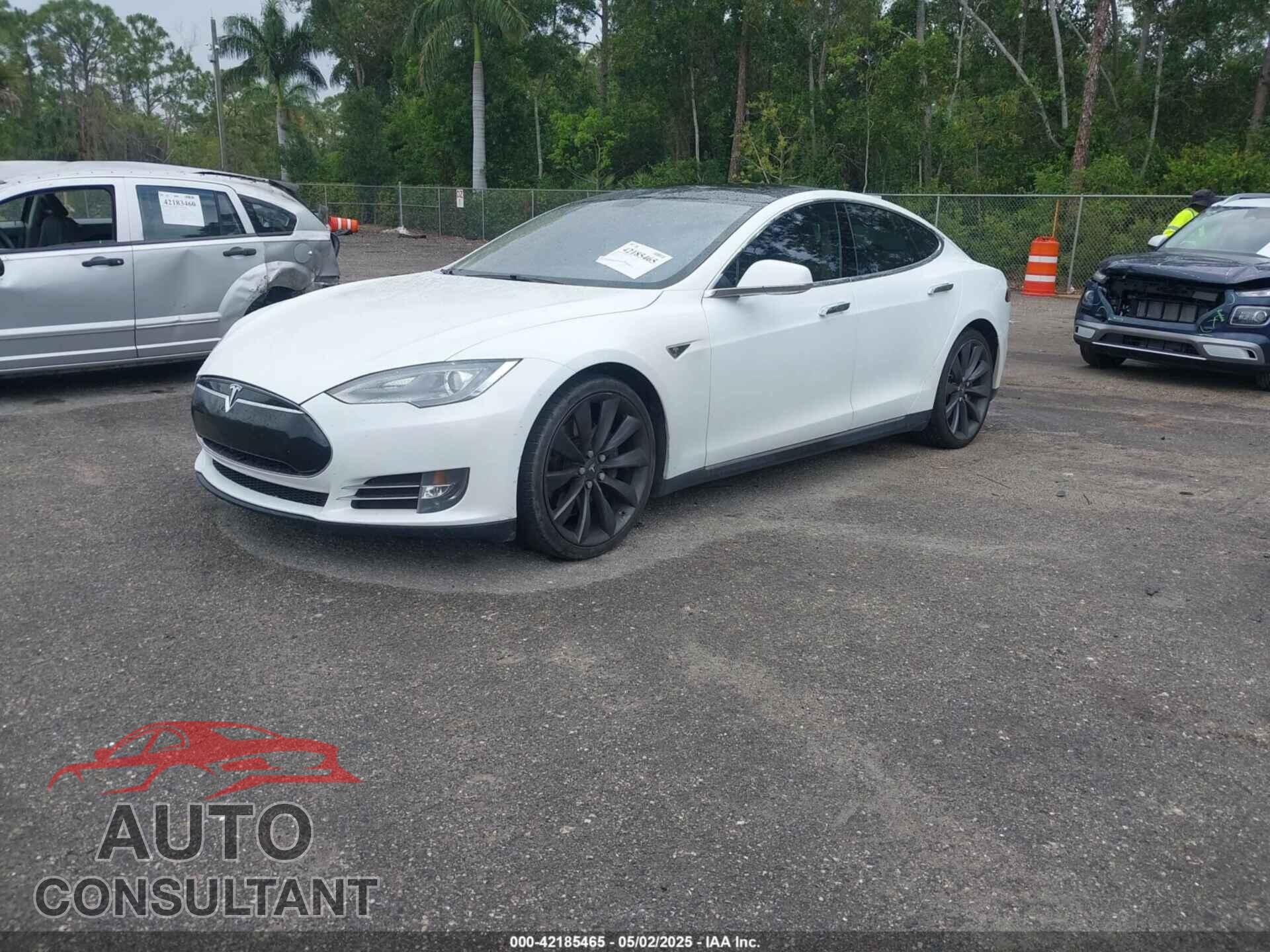 TESLA MODEL S 2013 - 5YJSA1DP9DFP04076