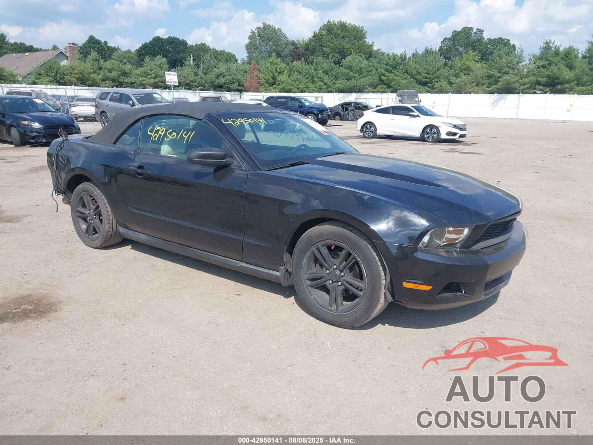 FORD MUSTANG 2010 - 1ZVBP8EN5A5169486