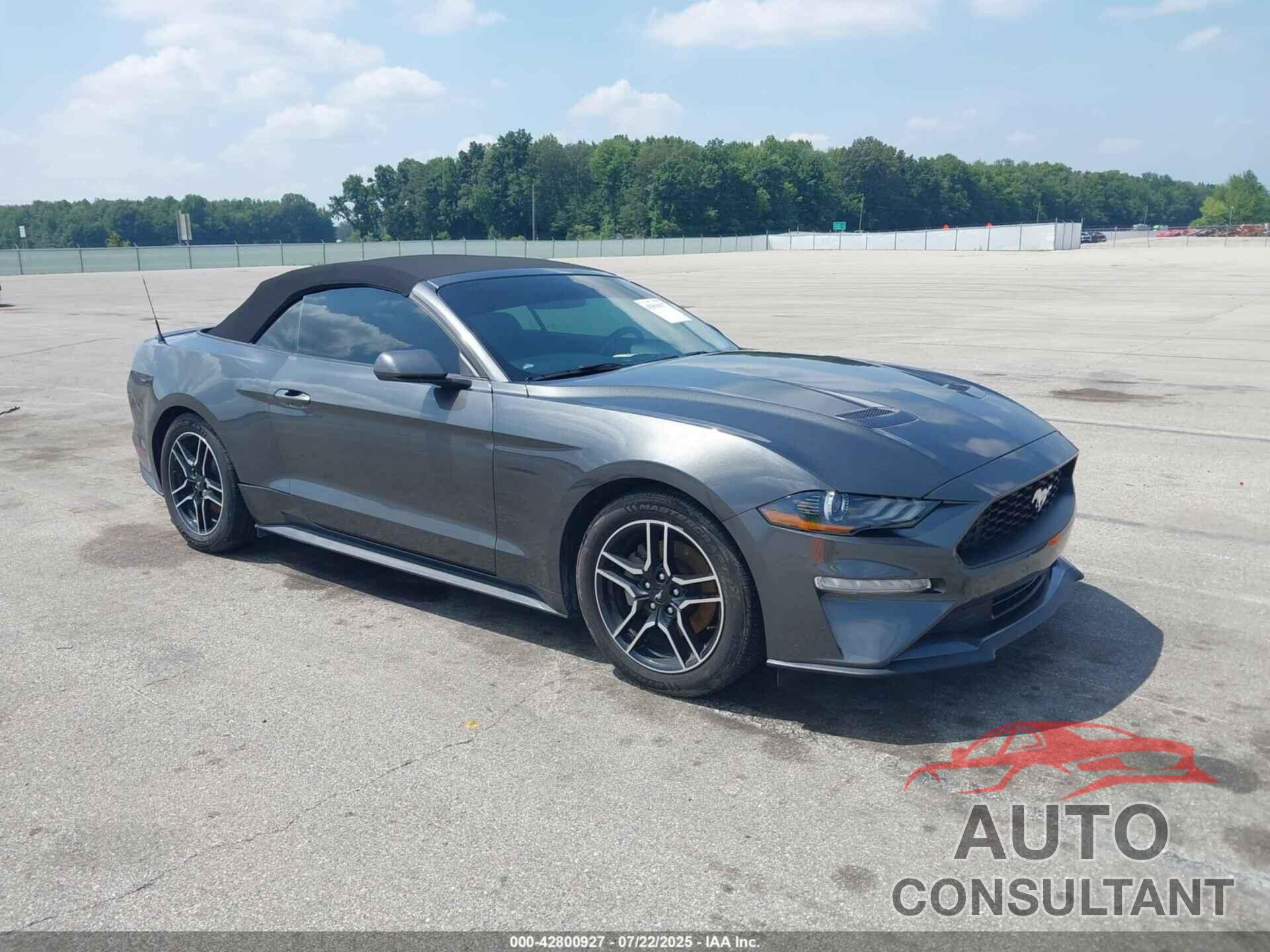 FORD MUSTANG 2019 - 1FATP8UH4K5205212