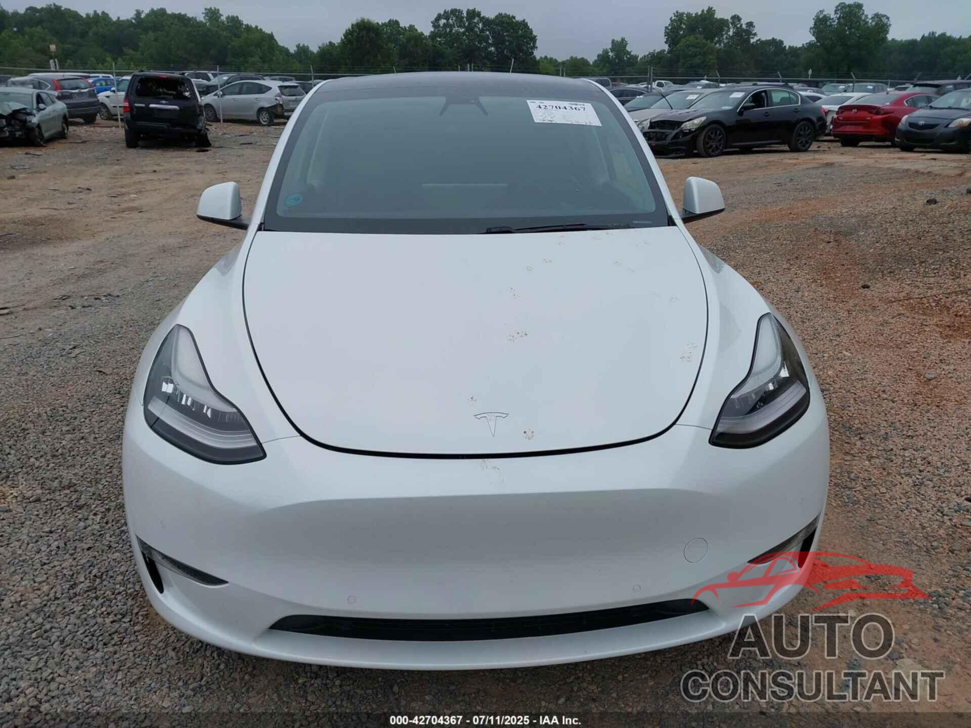 TESLA MODEL Y 2021 - 5YJYGDEE4MF084857