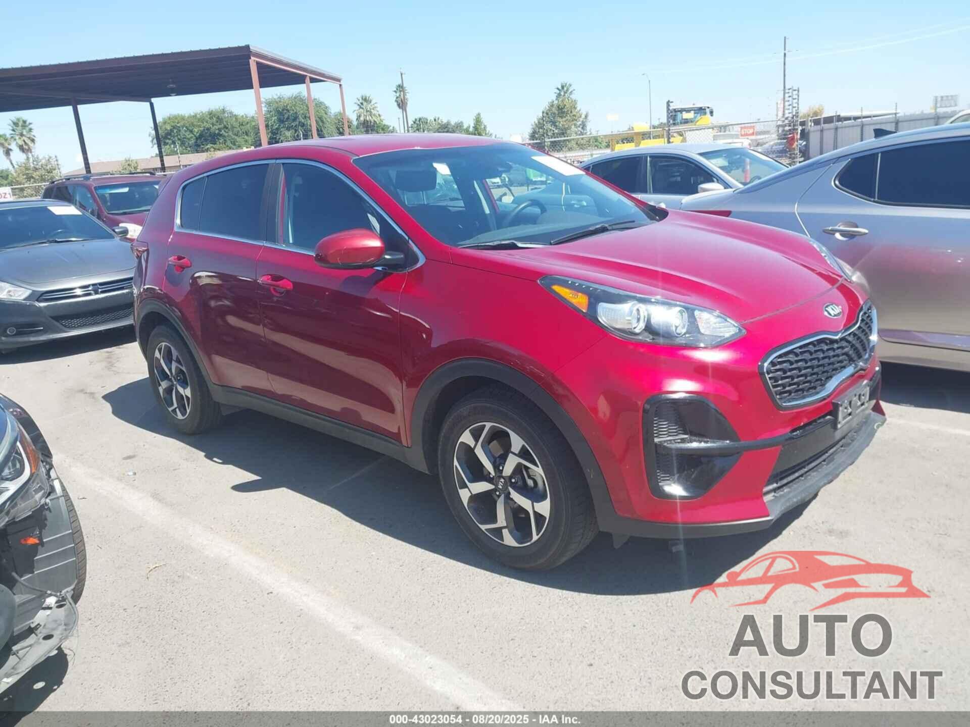 KIA SPORTAGE 2020 - KNDPM3AC9L7714377