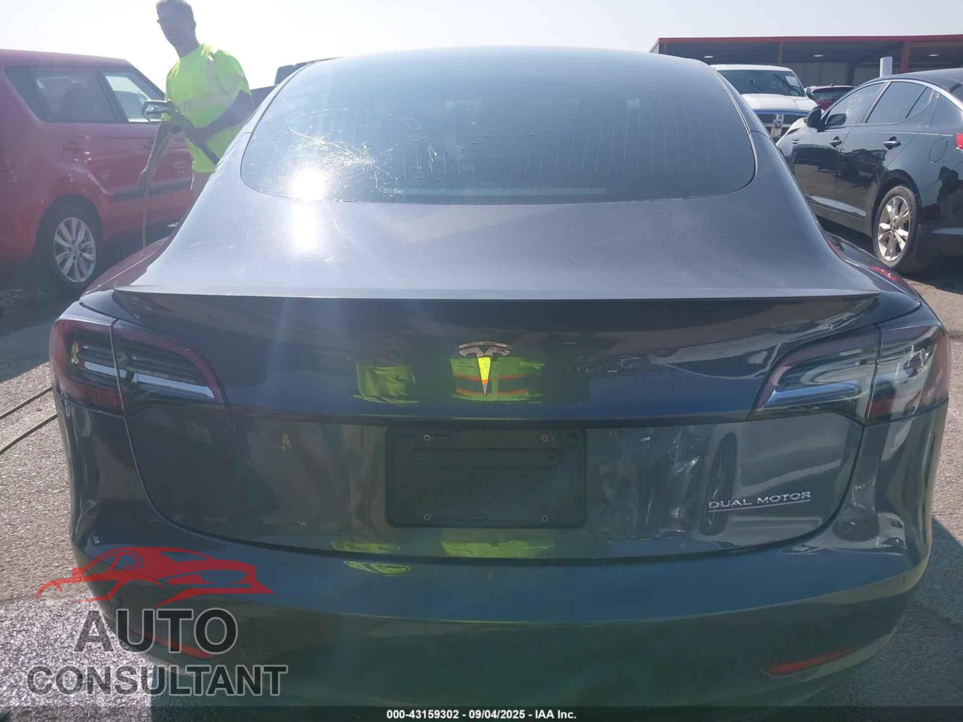 TESLA MODEL 3 2019 - 5YJ3E1EB3KF213978