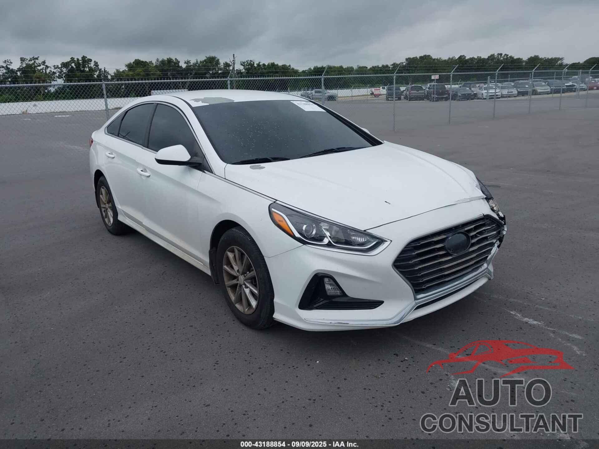 HYUNDAI SONATA 2019 - 5NPE24AF9KH737343