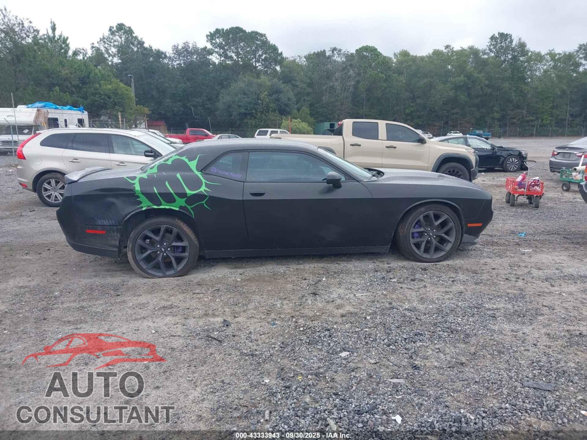 DODGE CHALLENGER 2019 - 2C3CDZAG4KH716954
