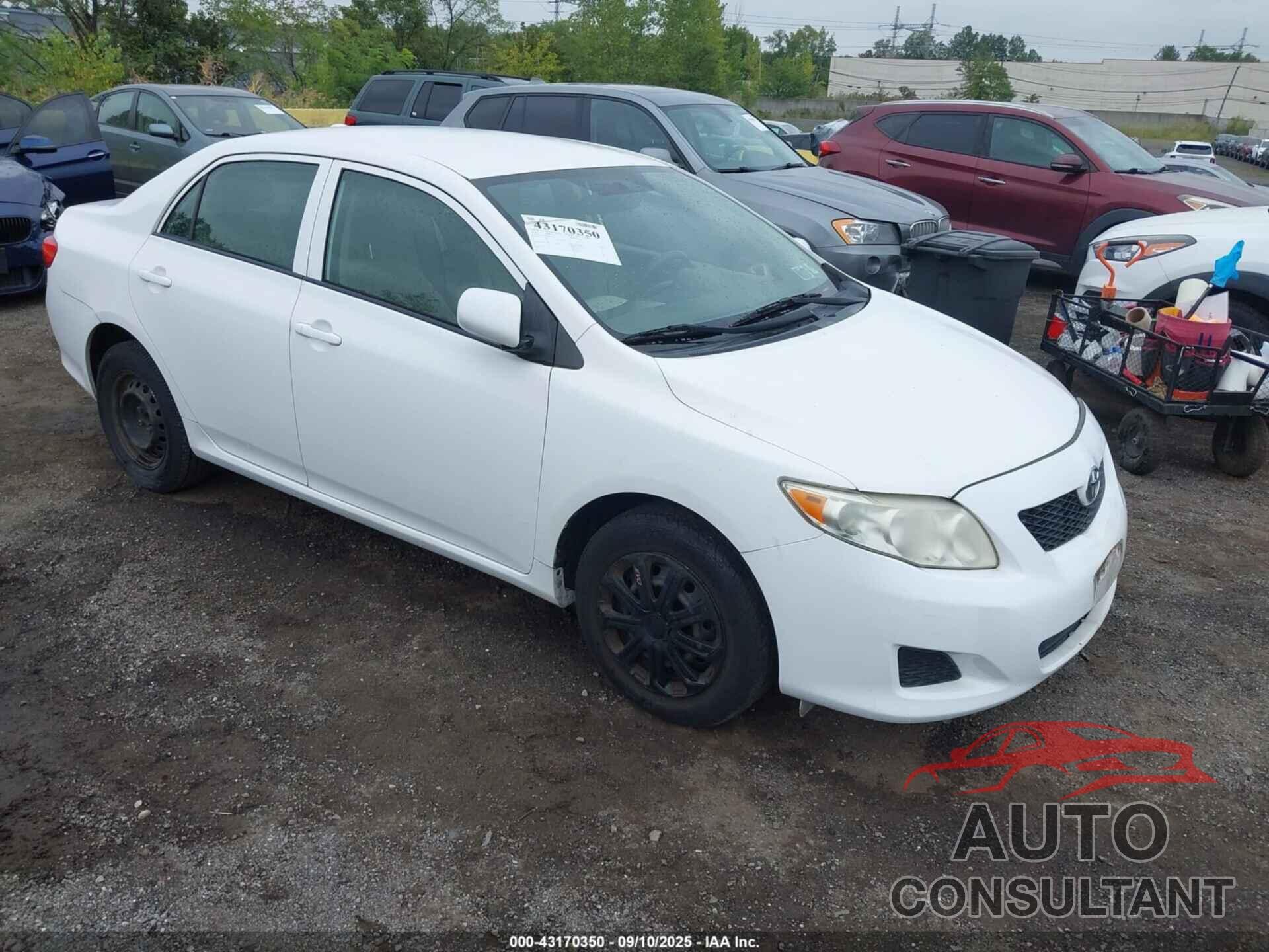 TOYOTA COROLLA 2010 - JTDBU4EE4AJ082755