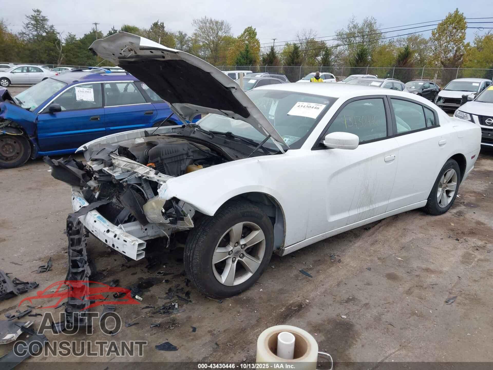 DODGE CHARGER 2014 - 2C3CDXBG7EH112807