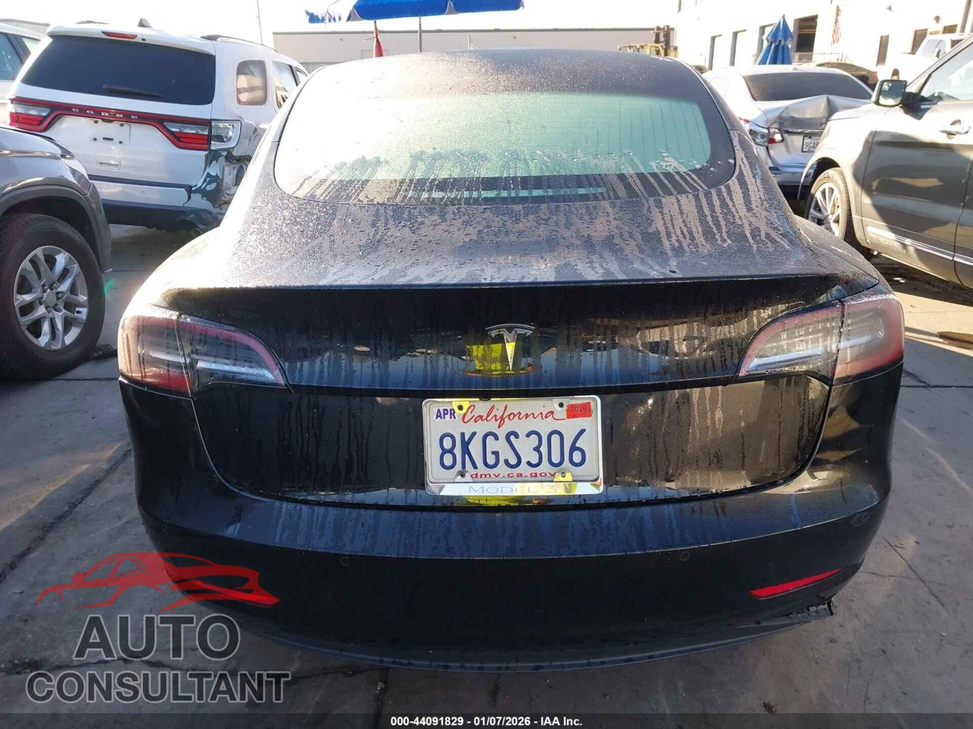 TESLA MODEL 3 2019 - 5YJ3E1EA2KF305543