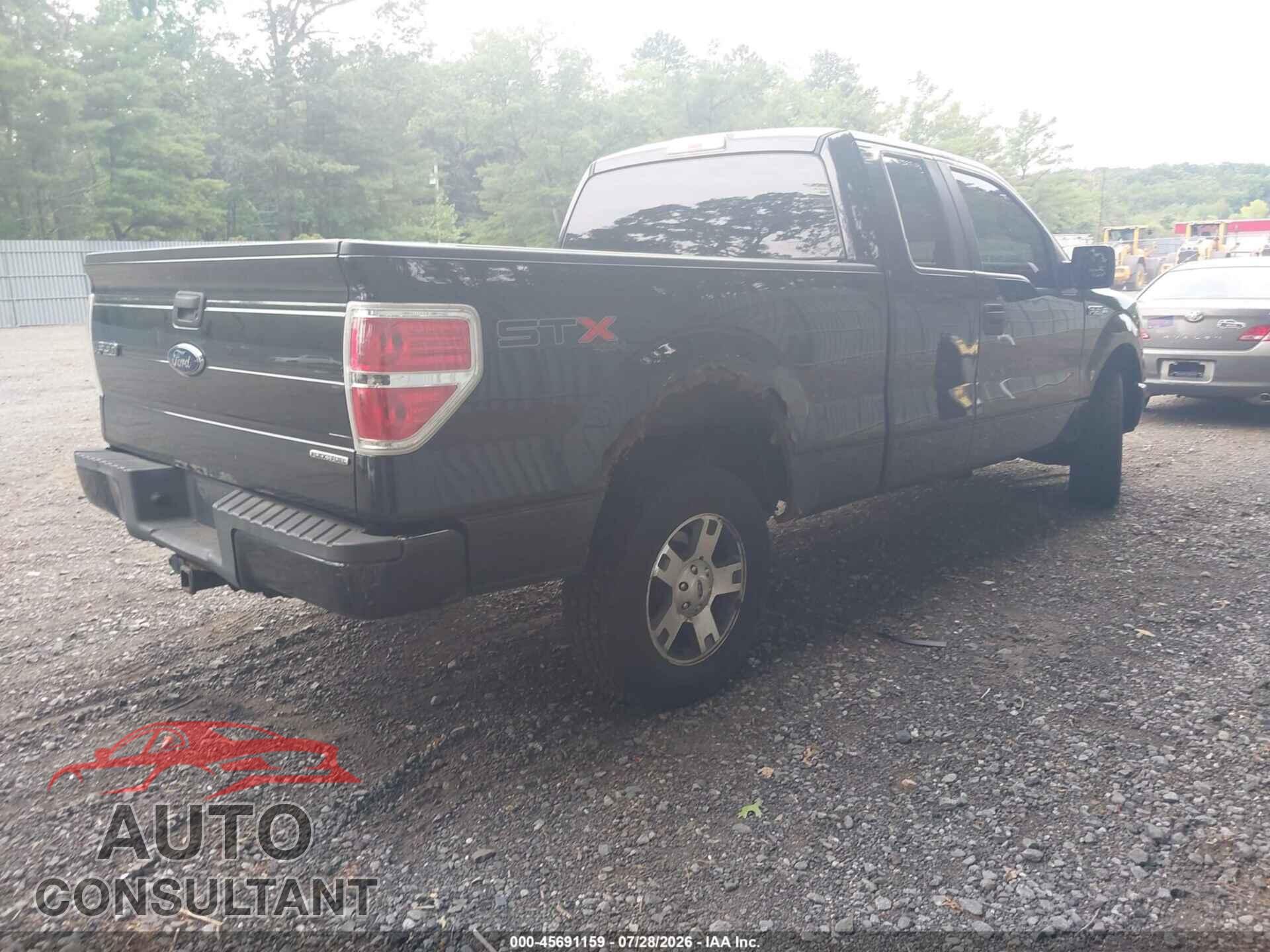 FORD F-150 2013 - 1FTFX1EF4DFD73666