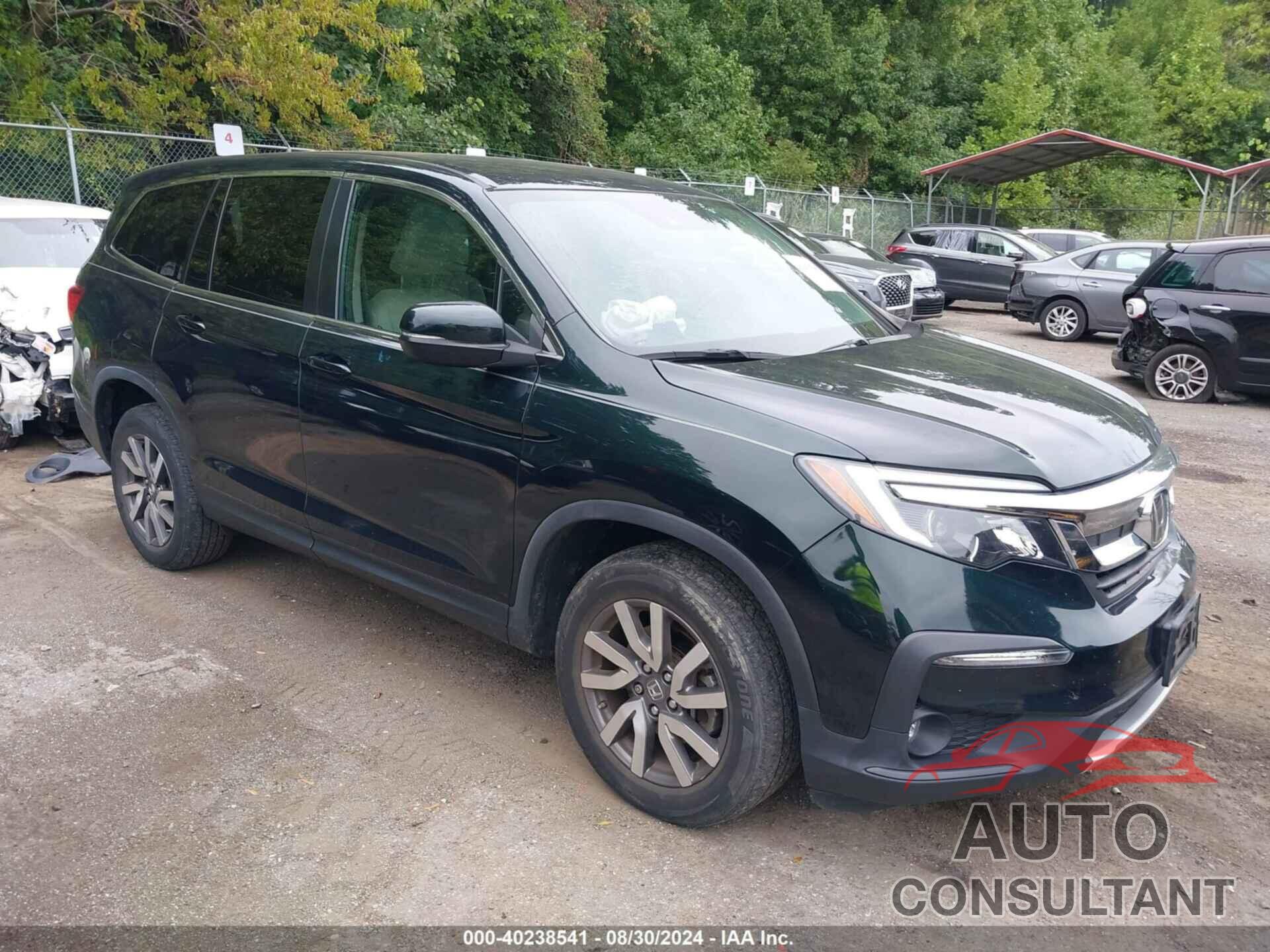 HONDA PILOT 2019 - 5FNYF6H36KB060498