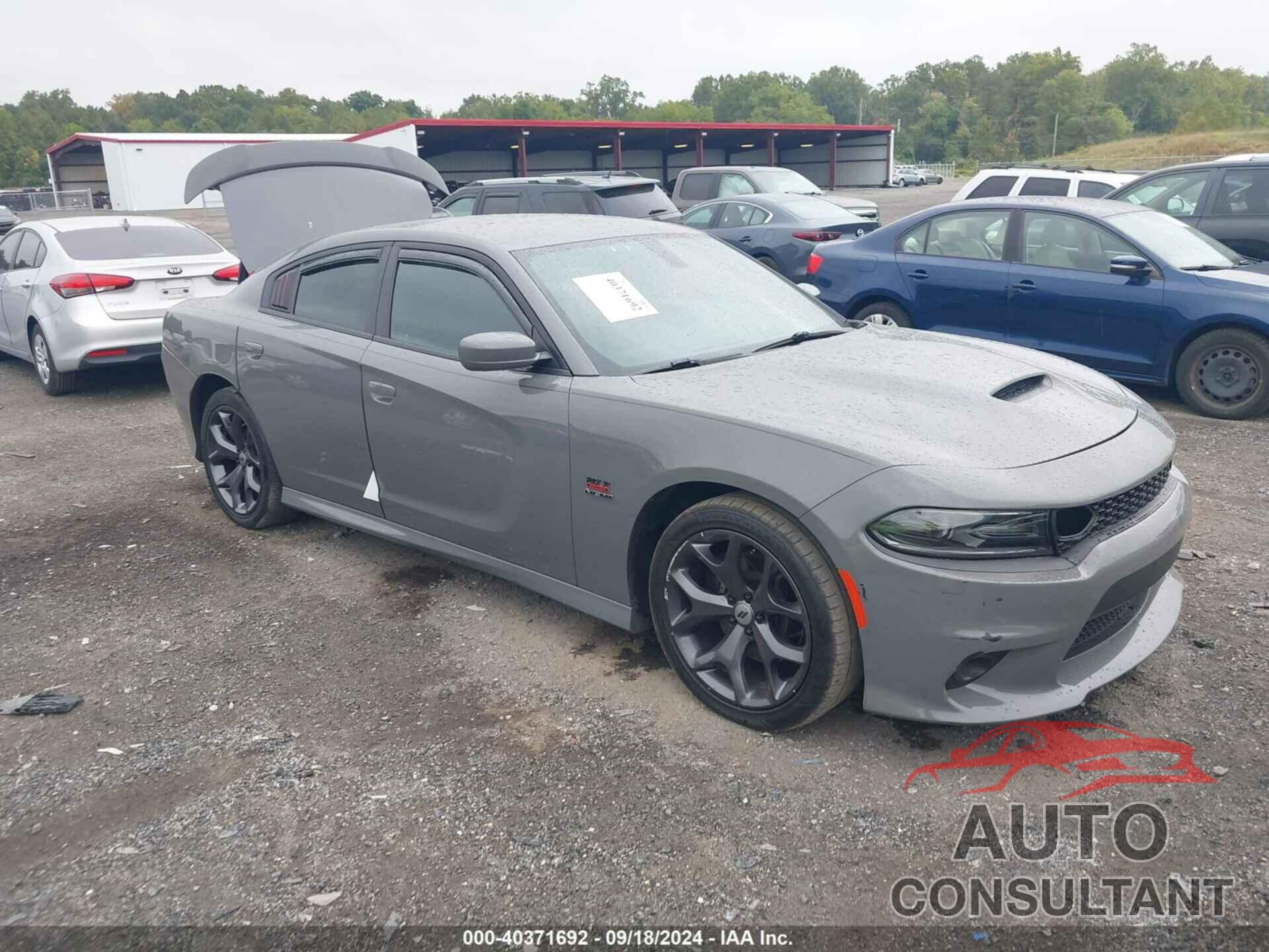 DODGE CHARGER 2019 - 2C3CDXCT8KH532423
