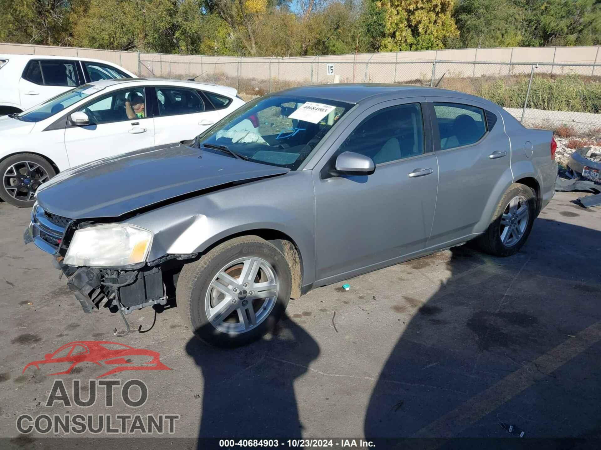 DODGE AVENGER 2013 - 1C3CDZCG1DN510966