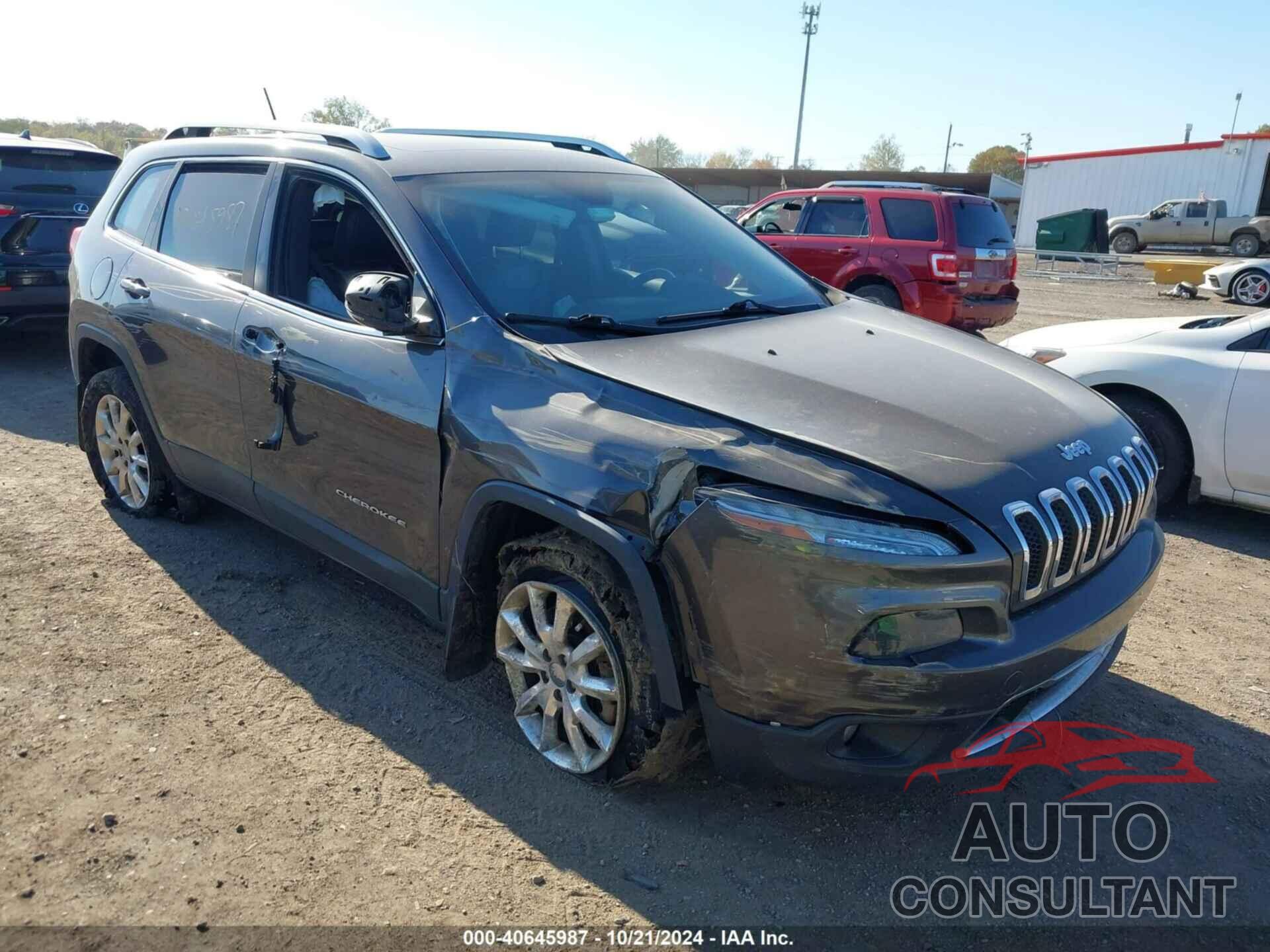 JEEP CHEROKEE 2014 - 1C4PJMDS8EW180282