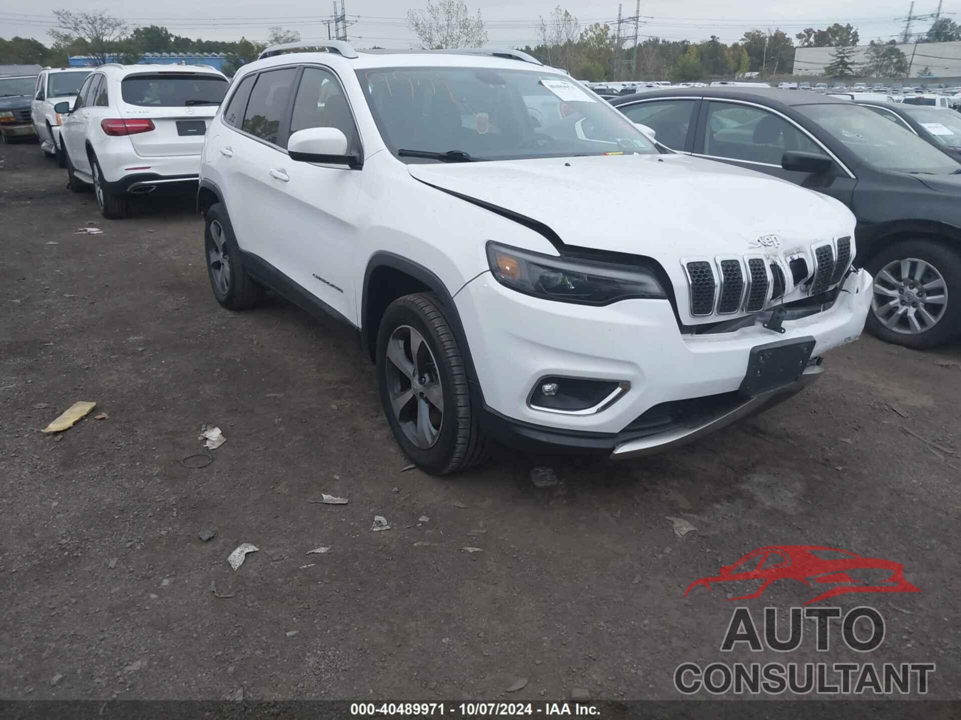 JEEP CHEROKEE 2019 - 1C4PJMDX0KD426647