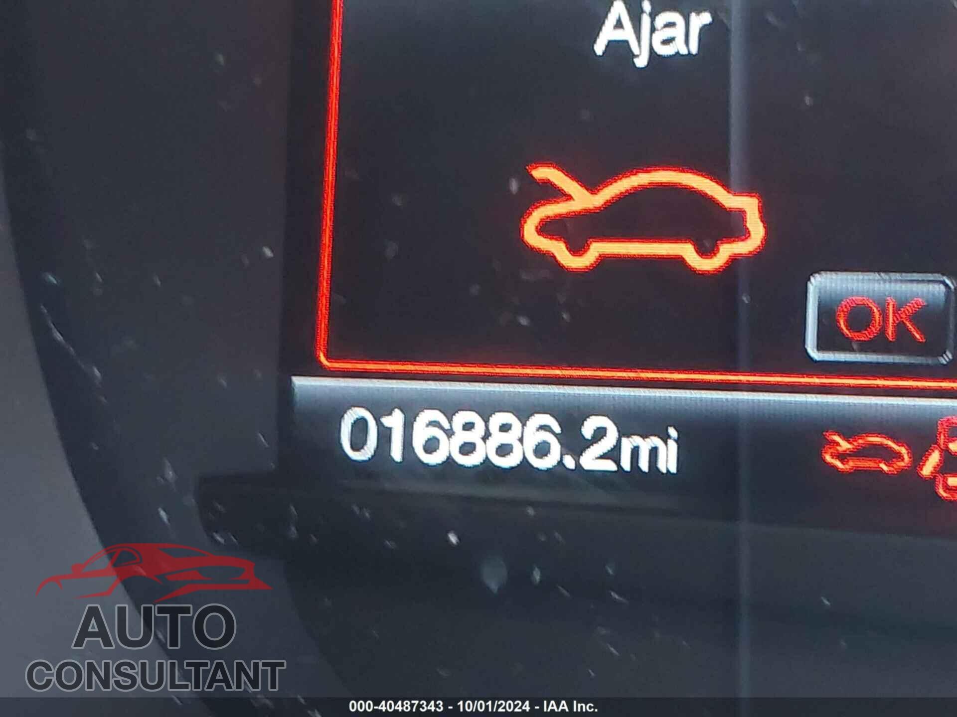 FORD EDGE 2024 - 2FMPK4J96RBA79405