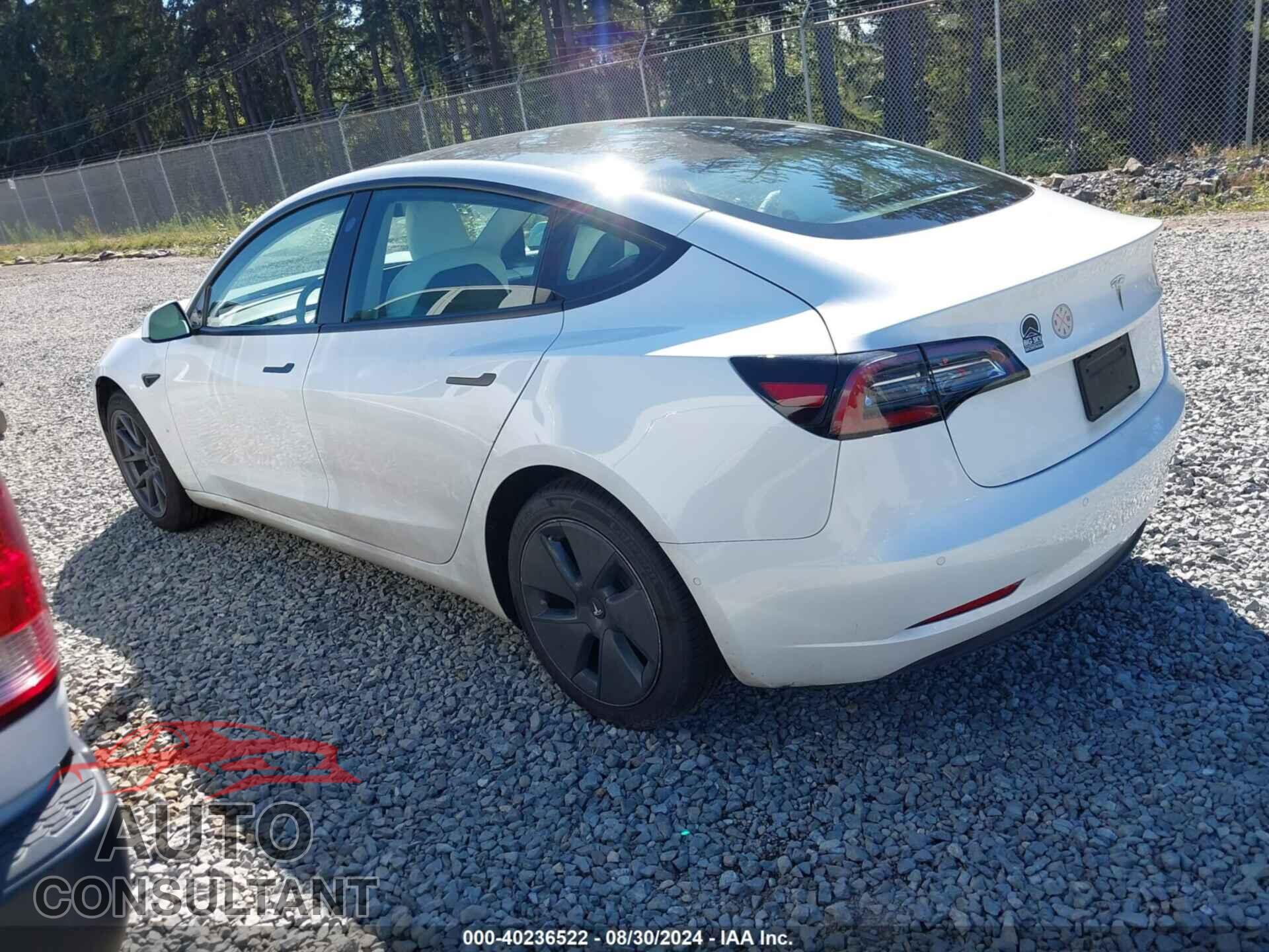 TESLA MODEL 3 2021 - 5YJ3E1EA3MF084506