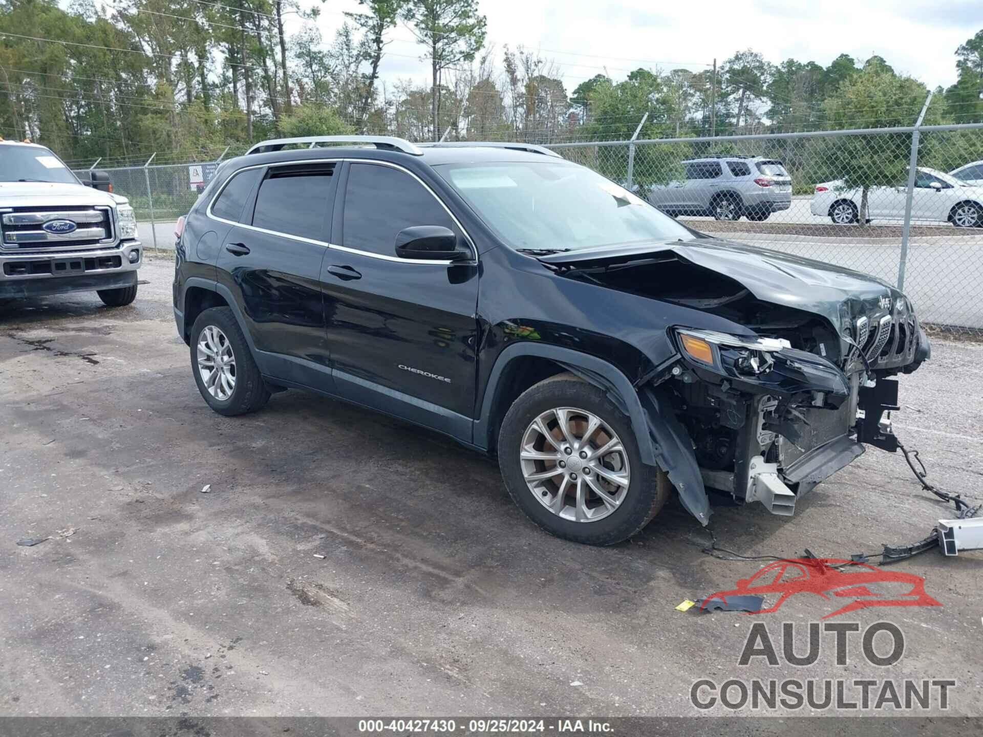 JEEP CHEROKEE 2019 - 1C4PJLCB6KD221866