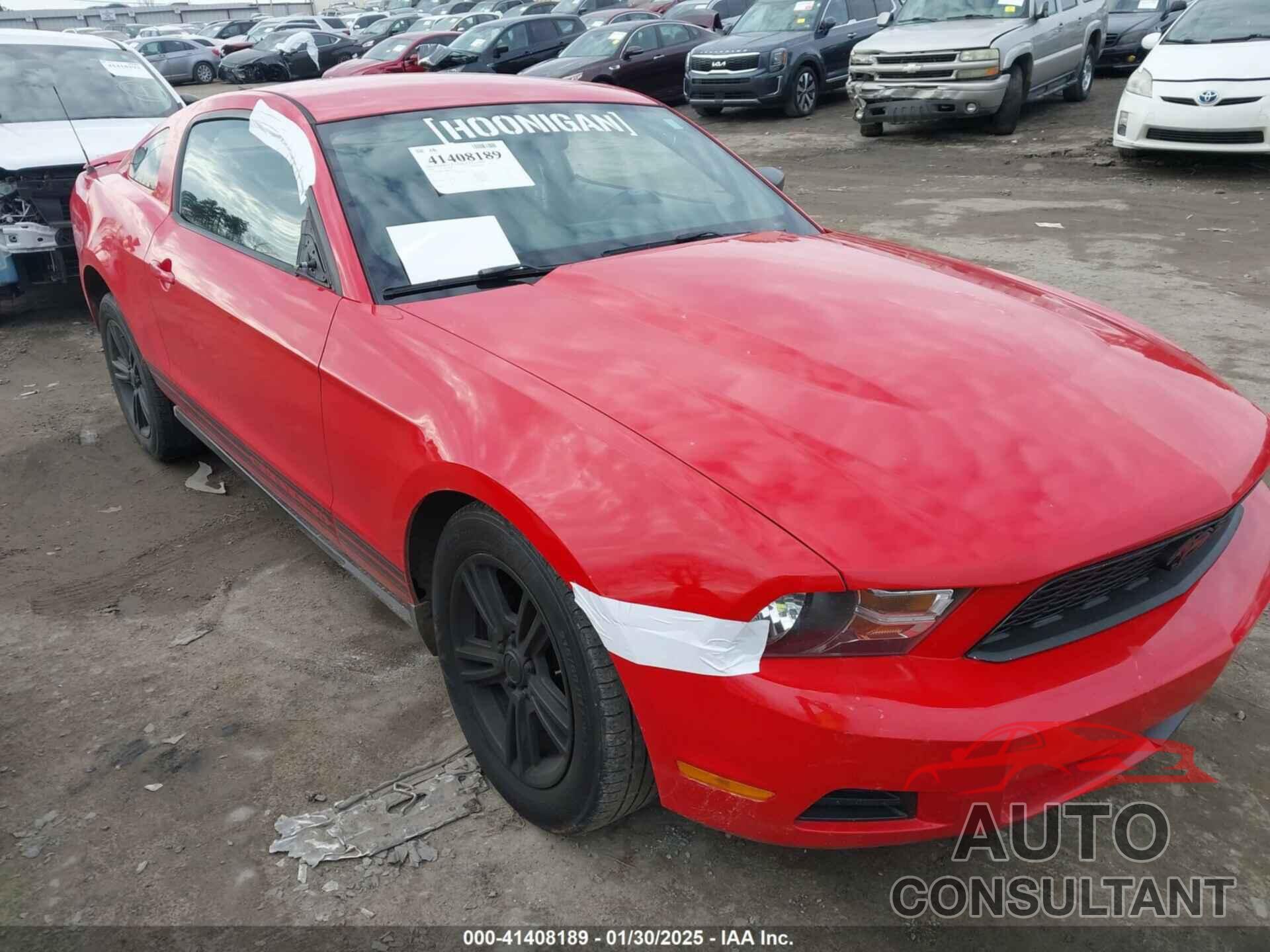 FORD MUSTANG 2010 - 1ZVBP8AN6A5180616