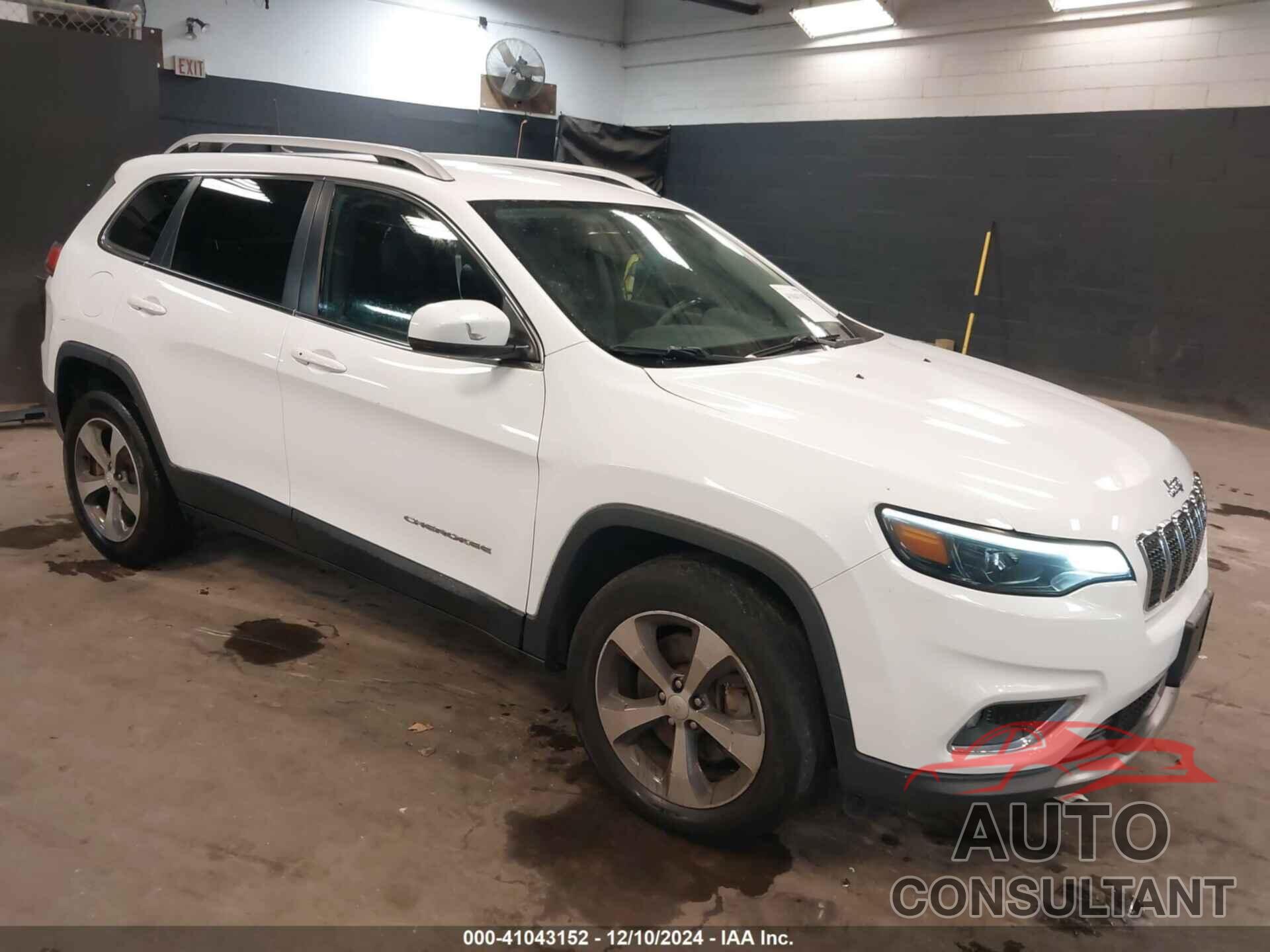 JEEP CHEROKEE 2019 - 1C4PJMDX1KD156425