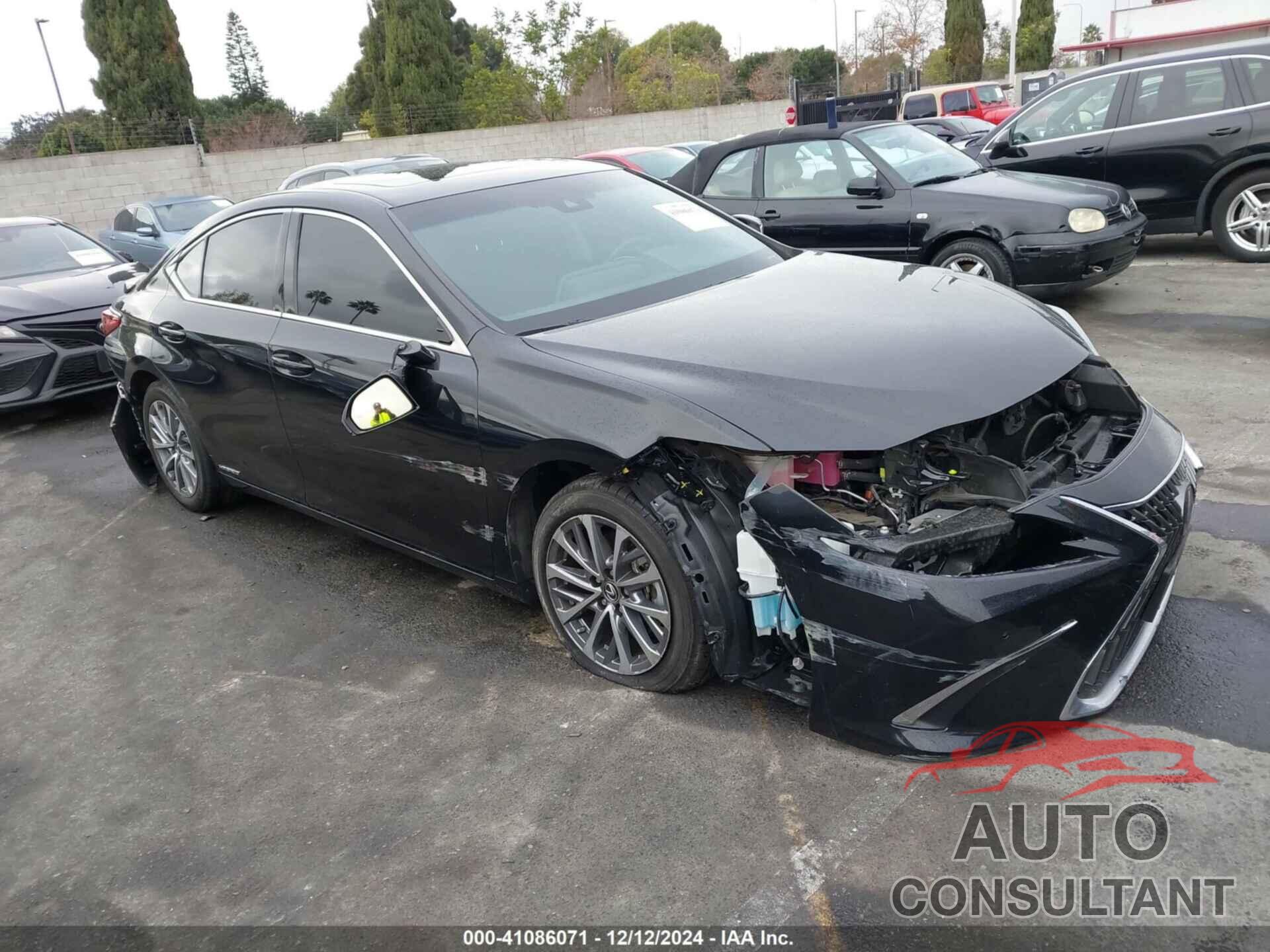 LEXUS ES 300H 2022 - 58ADA1C10NU025462