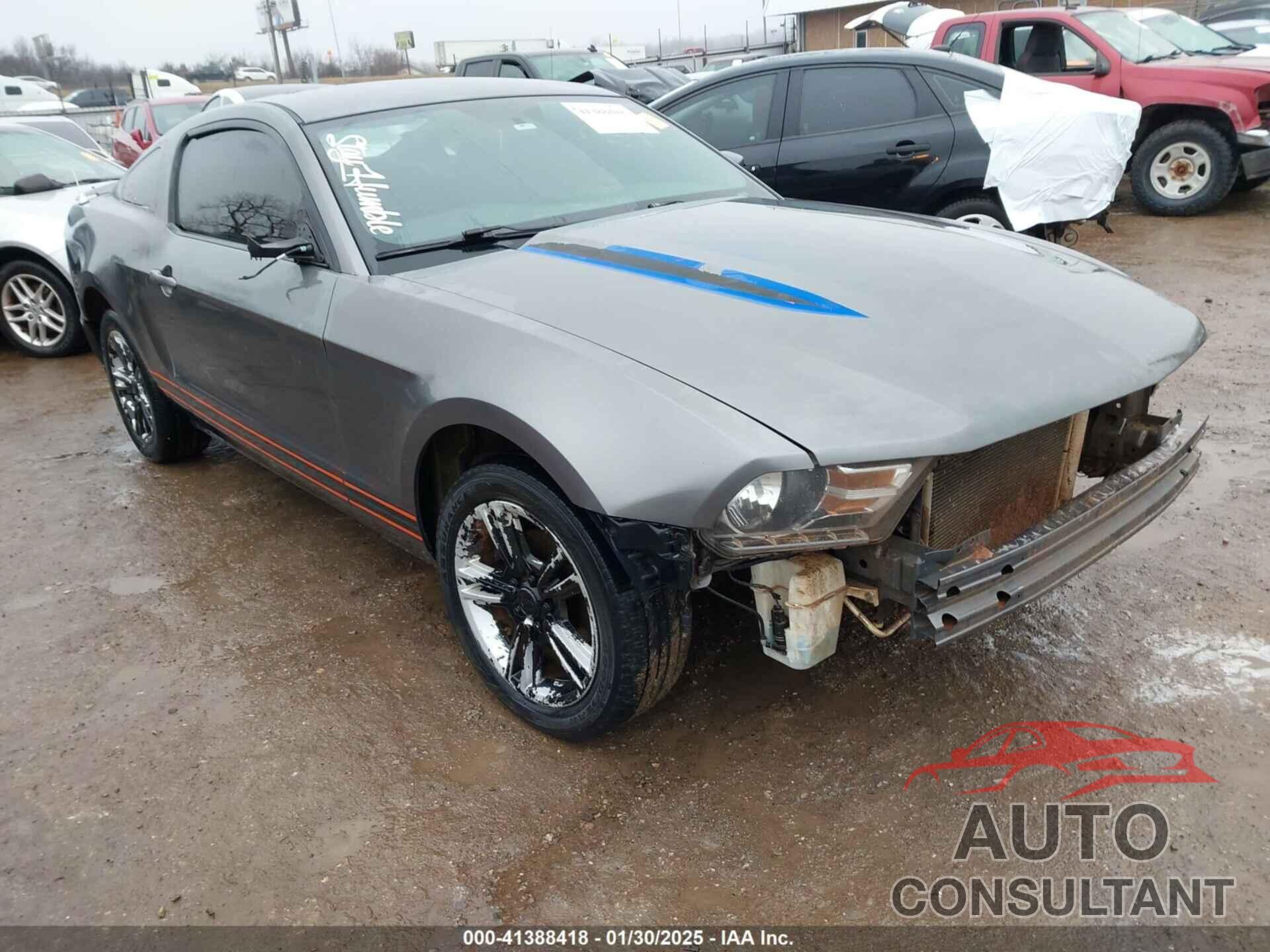 FORD MUSTANG 2010 - 1ZVBP8AN2A5160279