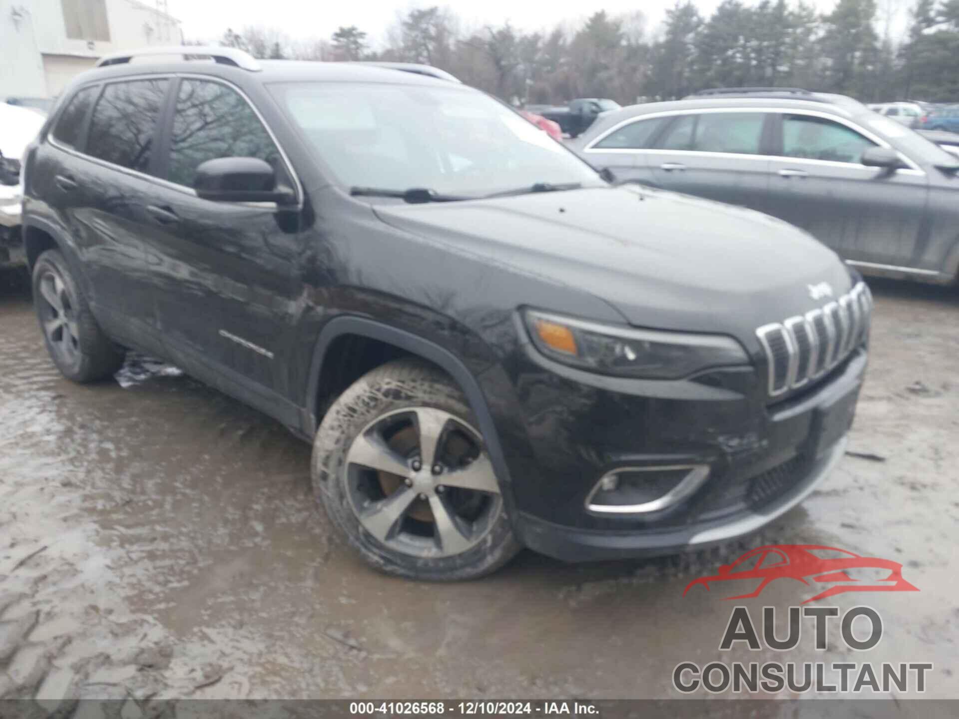 JEEP CHEROKEE 2019 - 1C4PJMDX4KD282827