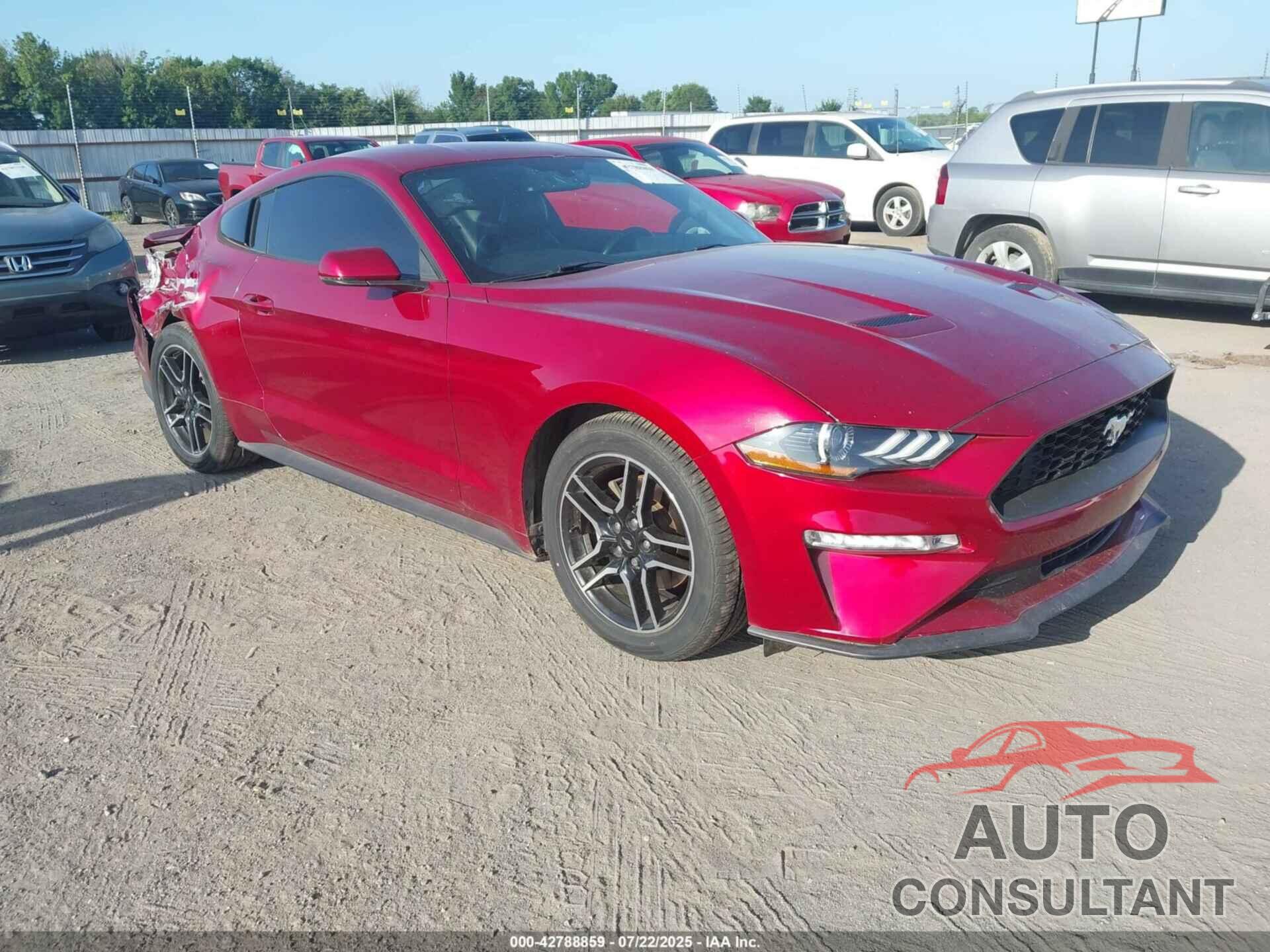FORD MUSTANG 2019 - 1FA6P8TH6K5205498