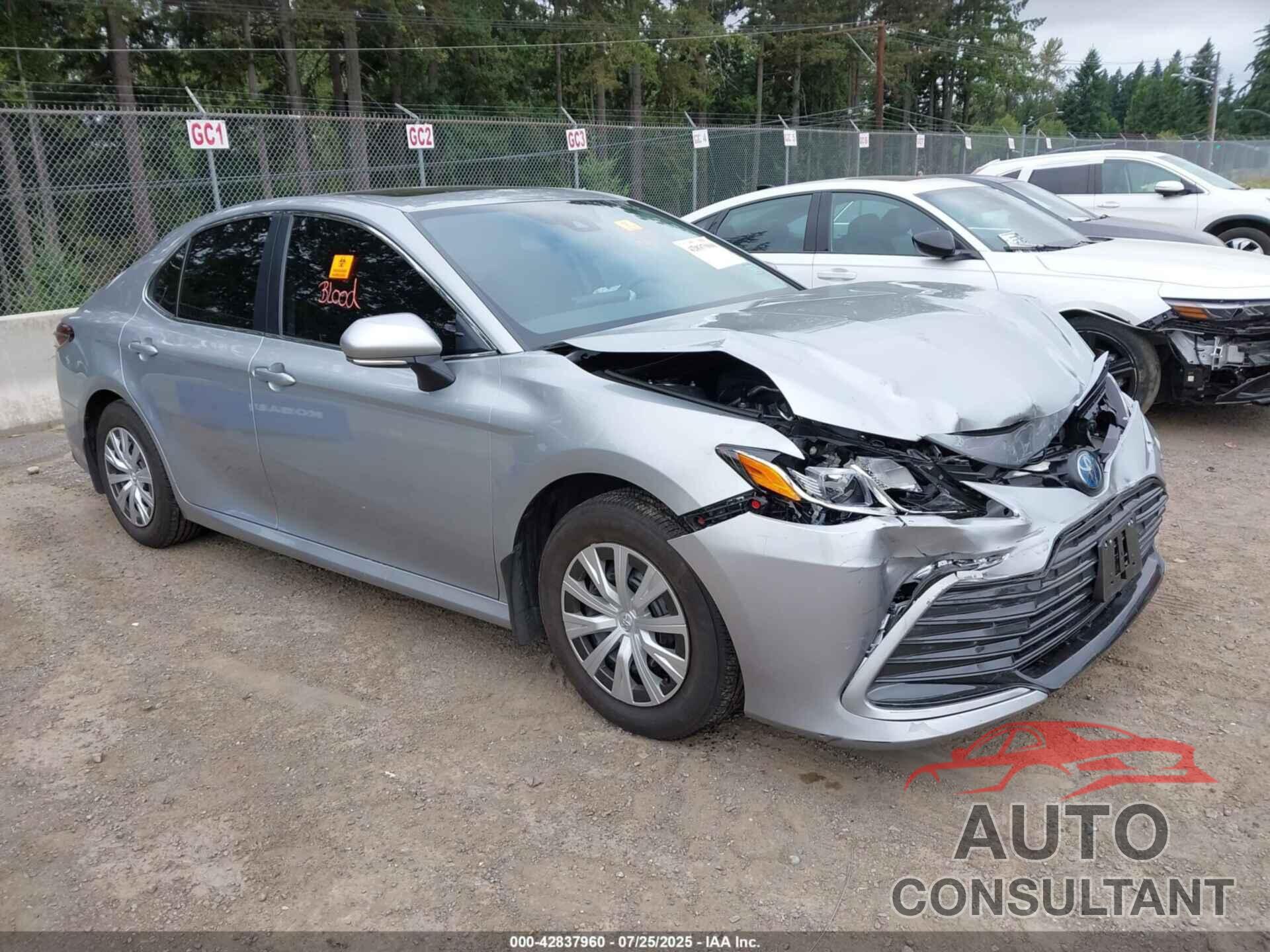 TOYOTA CAMRY HYBRID 2024 - 4T1H31AK0RU079154
