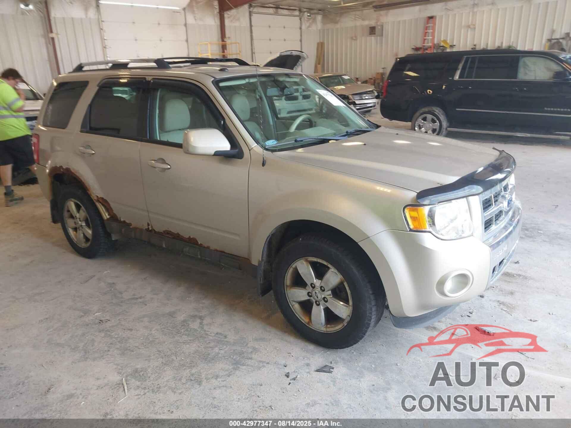 FORD ESCAPE 2012 - 1FMCU9EGXCKB30206