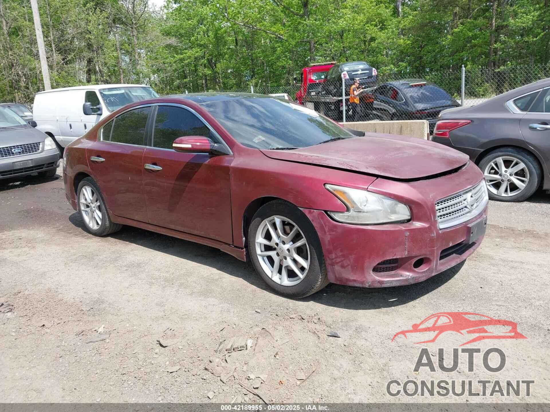 NISSAN MAXIMA 2009 - 1N4AA51E49C861482