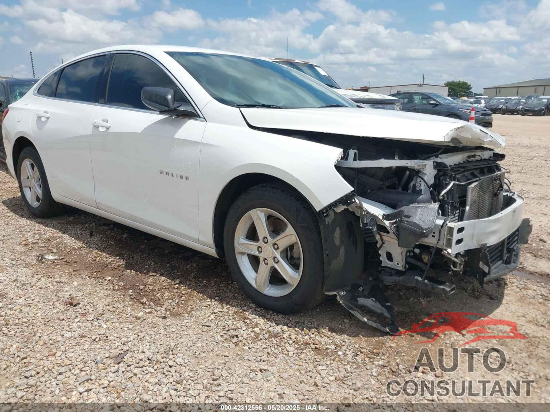 CHEVROLET MALIBU 2019 - 1G1ZB5ST1KF198733