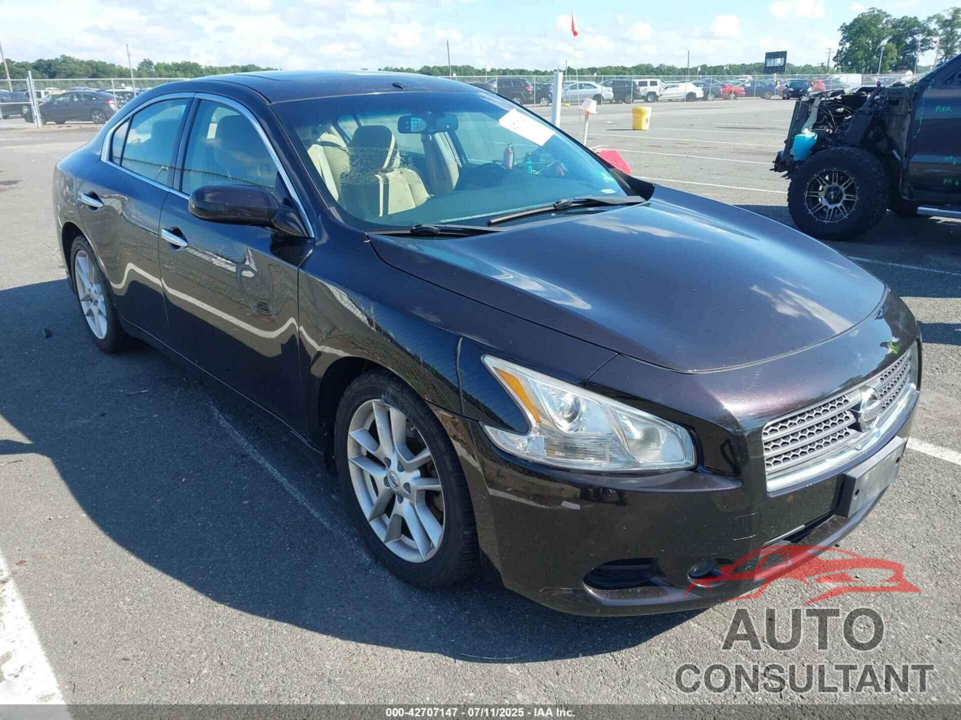 NISSAN MAXIMA 2011 - 1N4AA5AP1BC858711